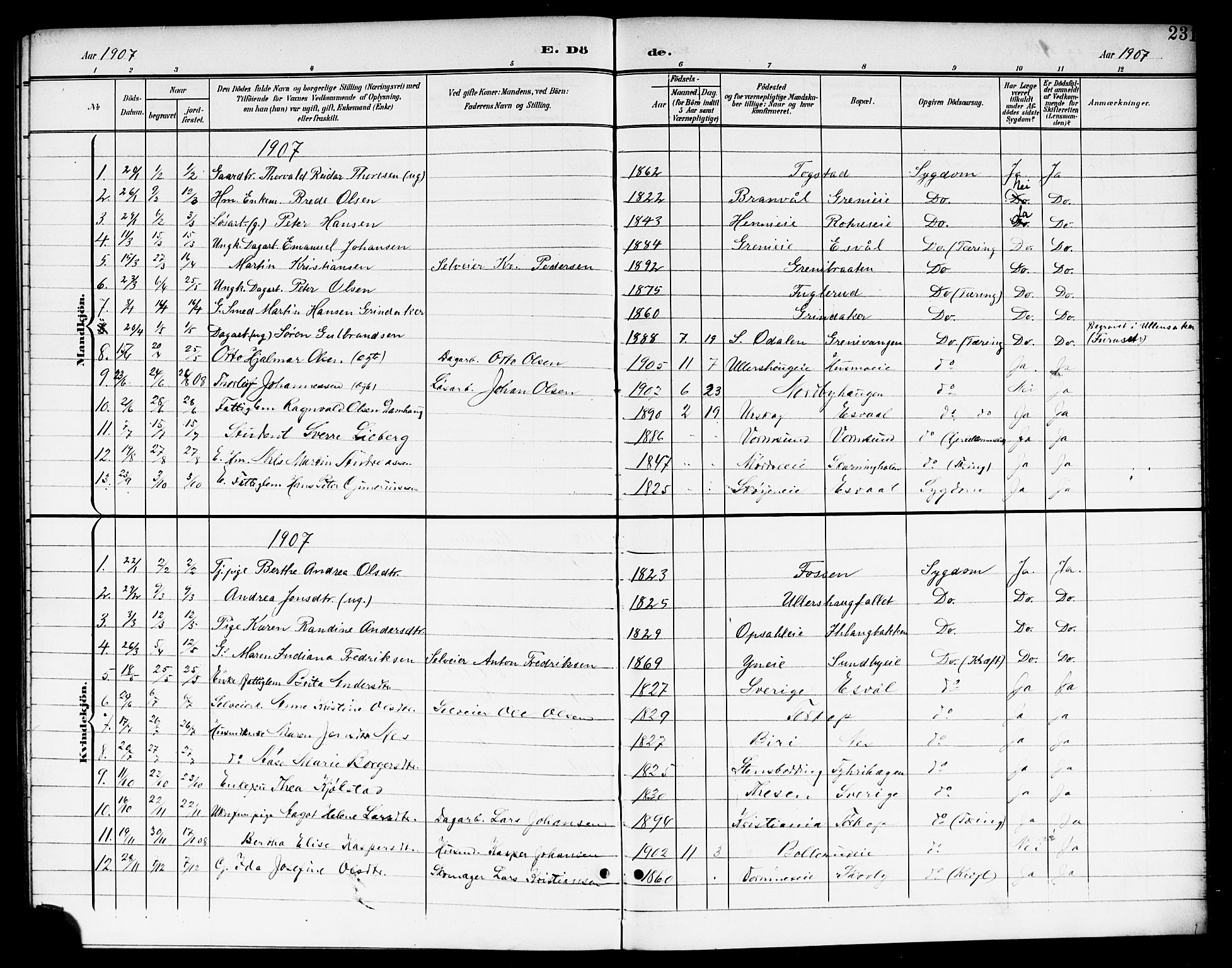 Nes prestekontor Kirkebøker, AV/SAO-A-10410/G/Ga/L0002: Klokkerbok nr. I 2, 1901-1912, s. 231