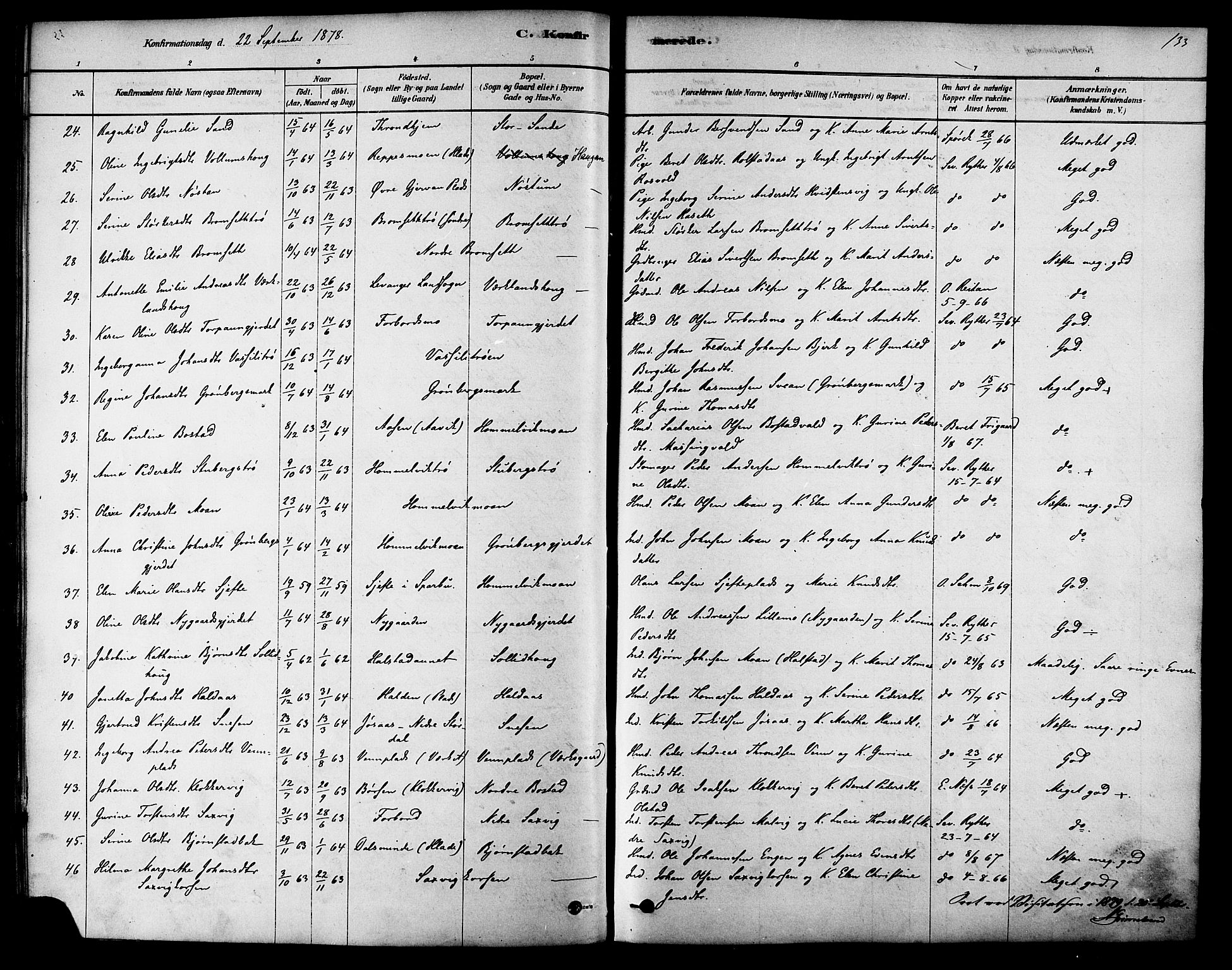 Ministerialprotokoller, klokkerbøker og fødselsregistre - Sør-Trøndelag, SAT/A-1456/616/L0410: Ministerialbok nr. 616A07, 1878-1893, s. 133
