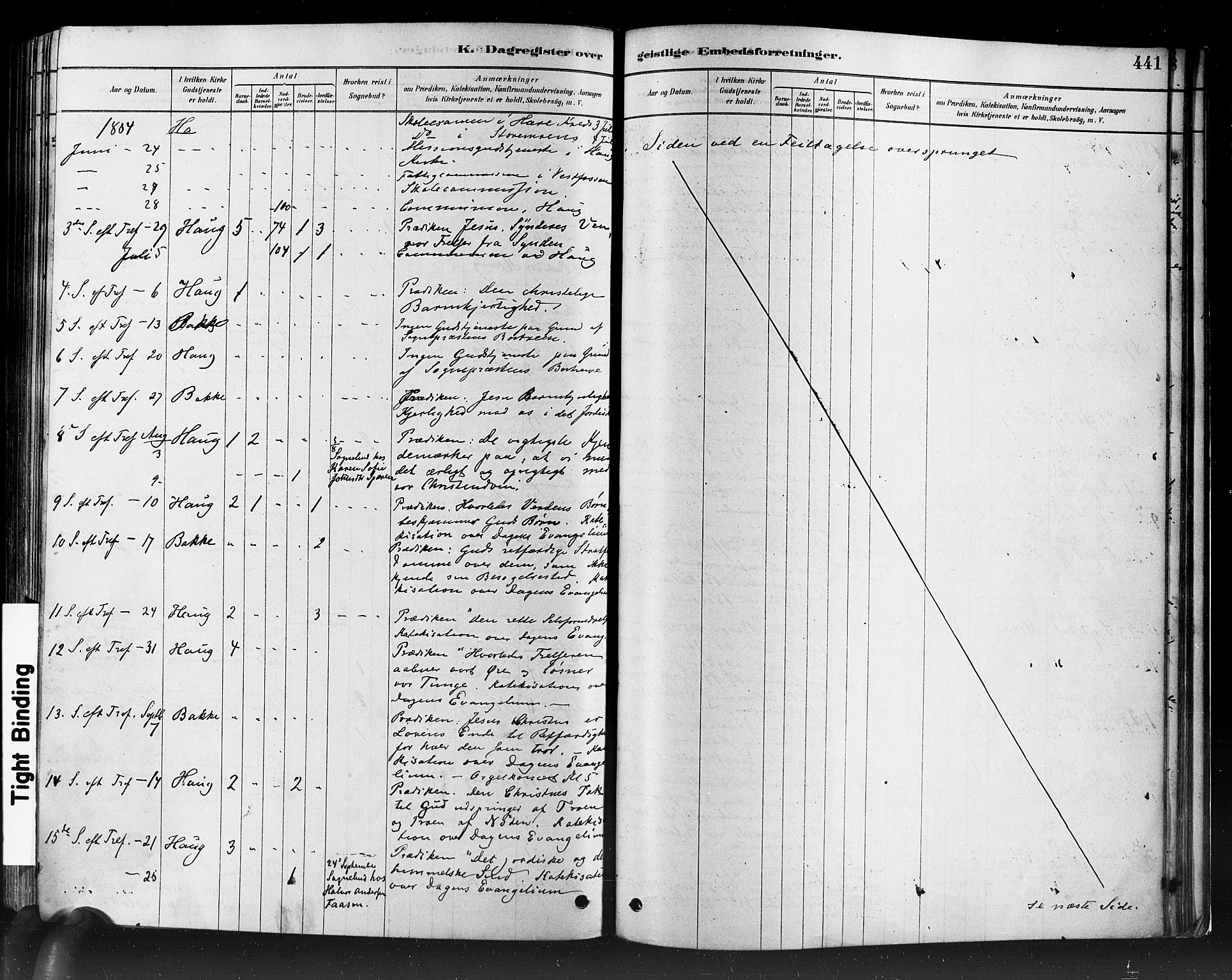 Eiker kirkebøker, AV/SAKO-A-4/F/Fb/L0001: Ministerialbok nr. II 1, 1878-1888, s. 441