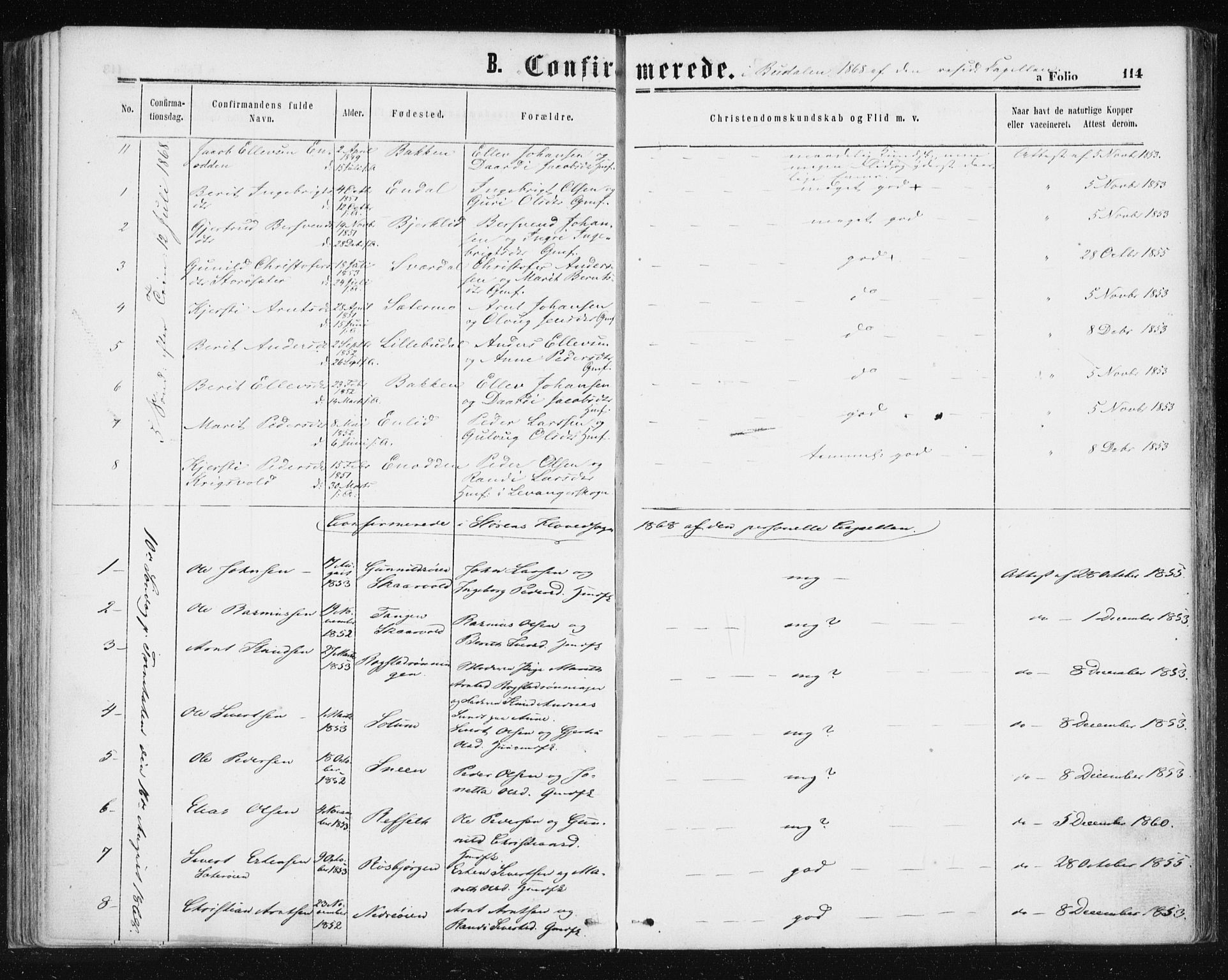 Ministerialprotokoller, klokkerbøker og fødselsregistre - Sør-Trøndelag, AV/SAT-A-1456/687/L1001: Ministerialbok nr. 687A07, 1863-1878, s. 114