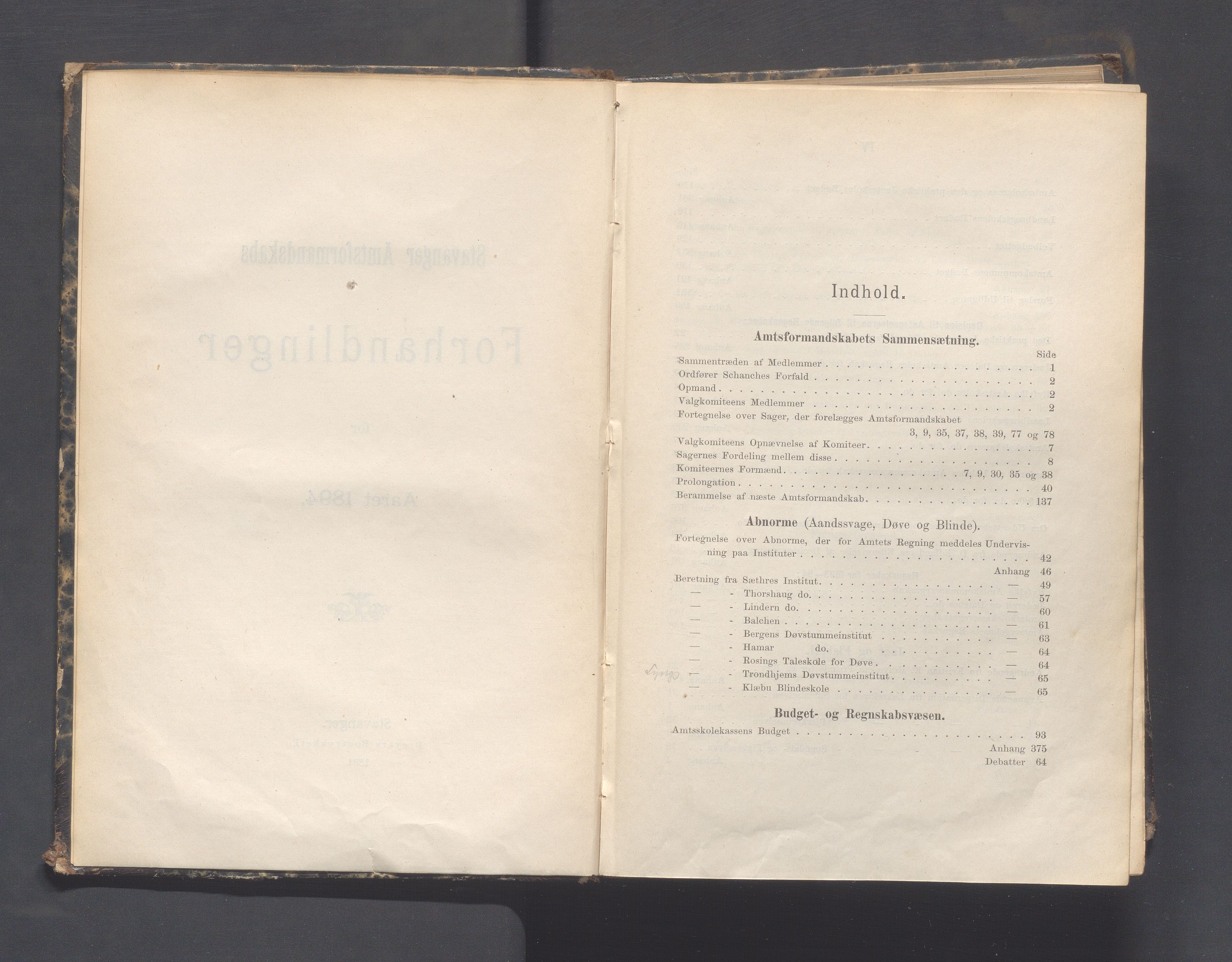 Rogaland fylkeskommune - Fylkesrådmannen , IKAR/A-900/A, 1894, s. 4