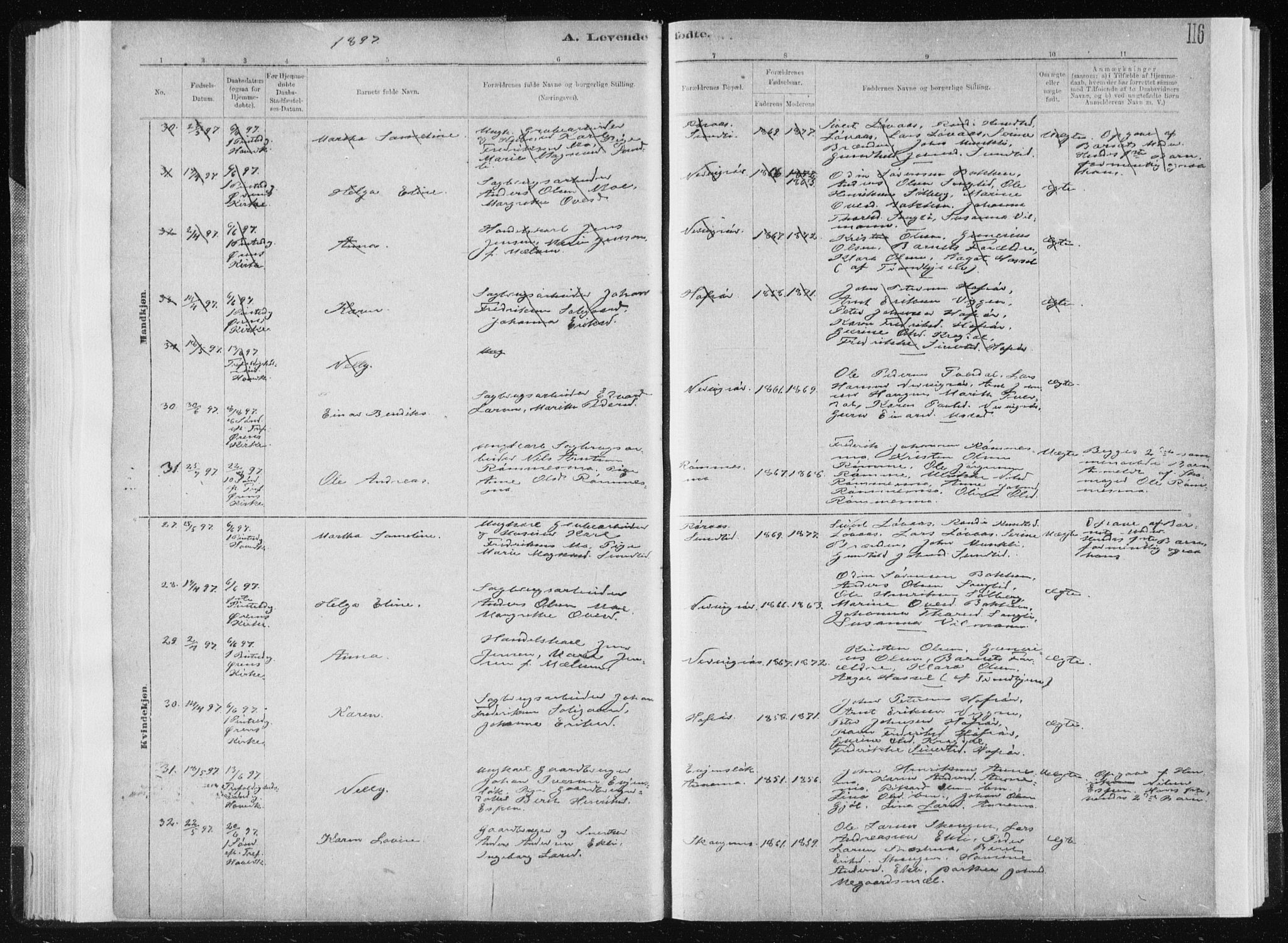 Ministerialprotokoller, klokkerbøker og fødselsregistre - Sør-Trøndelag, AV/SAT-A-1456/668/L0818: Klokkerbok nr. 668C07, 1885-1898, s. 116