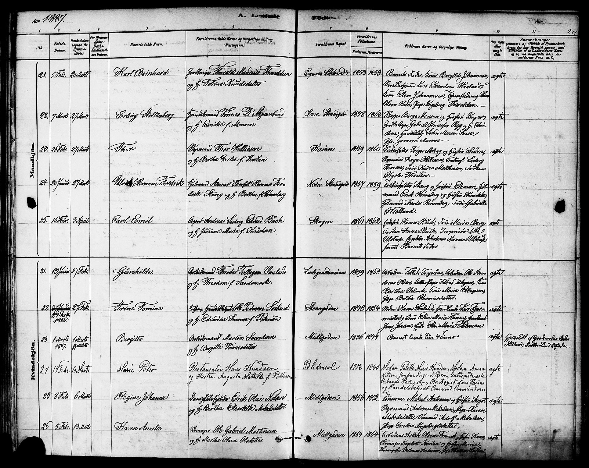 Domkirken sokneprestkontor, AV/SAST-A-101812/001/30/30BA/L0026: Ministerialbok nr. A 25, 1878-1889, s. 244