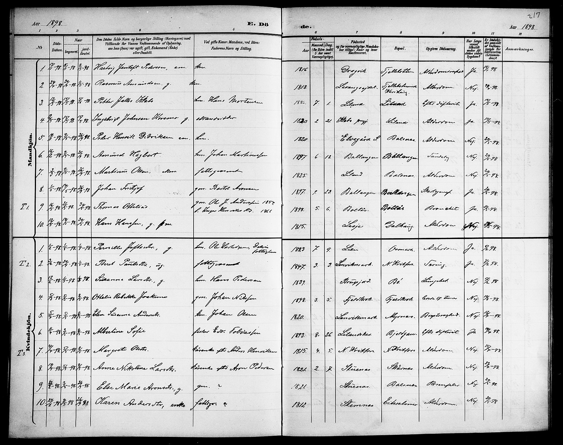 Ministerialprotokoller, klokkerbøker og fødselsregistre - Nordland, SAT/A-1459/863/L0915: Klokkerbok nr. 863C05, 1898-1907, s. 217