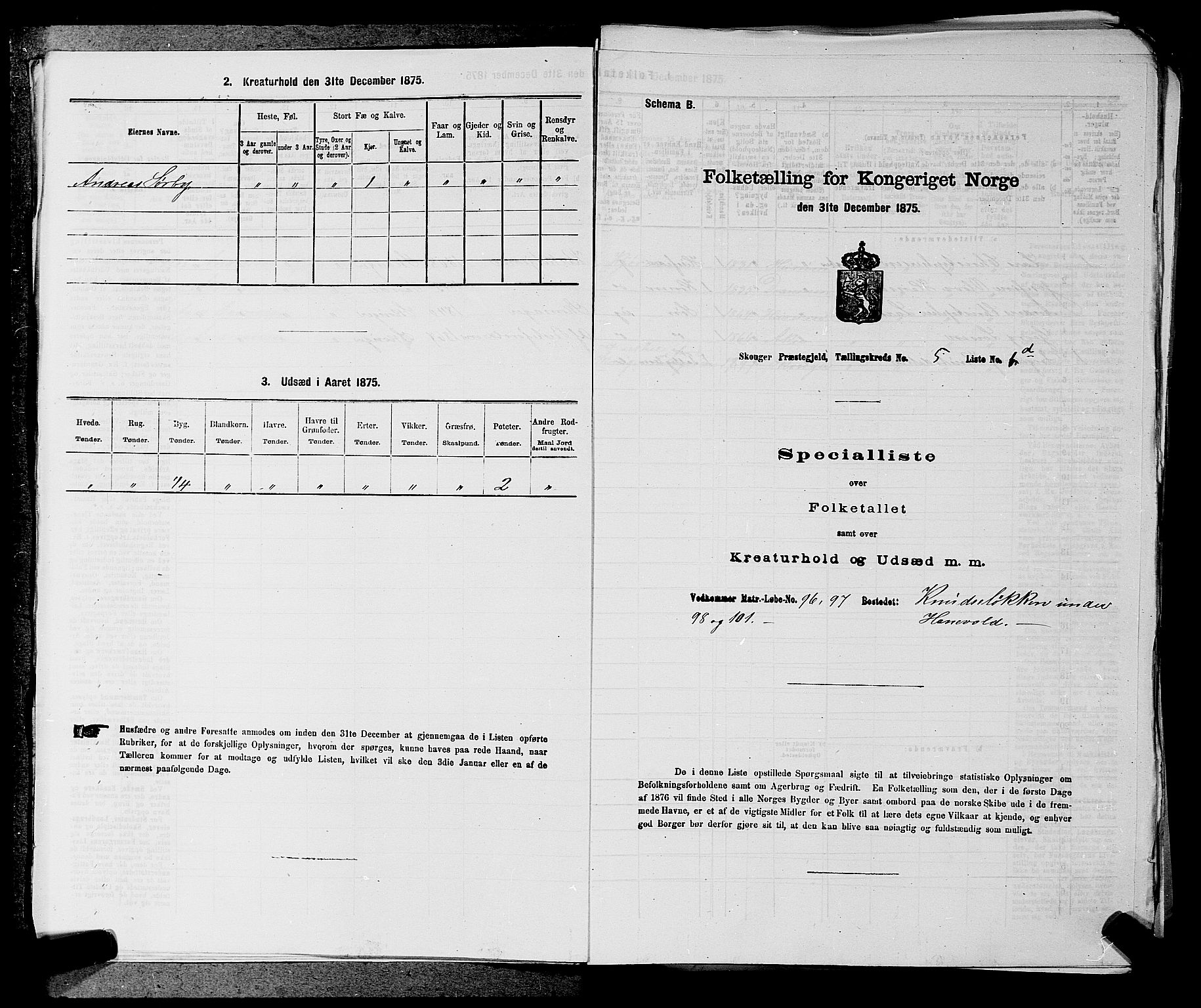 SAKO, Folketelling 1875 for 0712P Skoger prestegjeld, 1875, s. 619