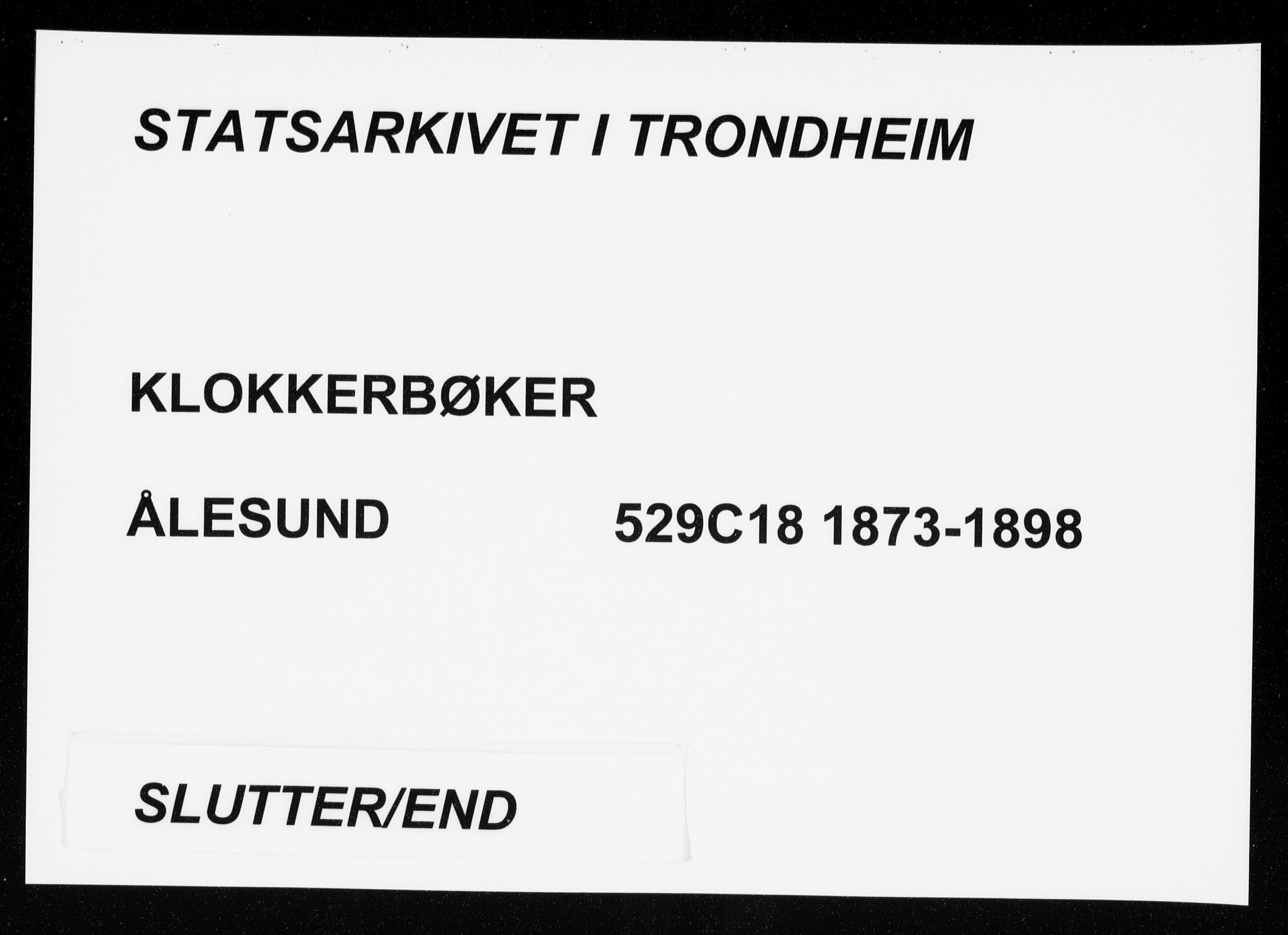 Ministerialprotokoller, klokkerbøker og fødselsregistre - Møre og Romsdal, SAT/A-1454/529/L0481: Klokkerbok nr. 529C18, 1873-1898