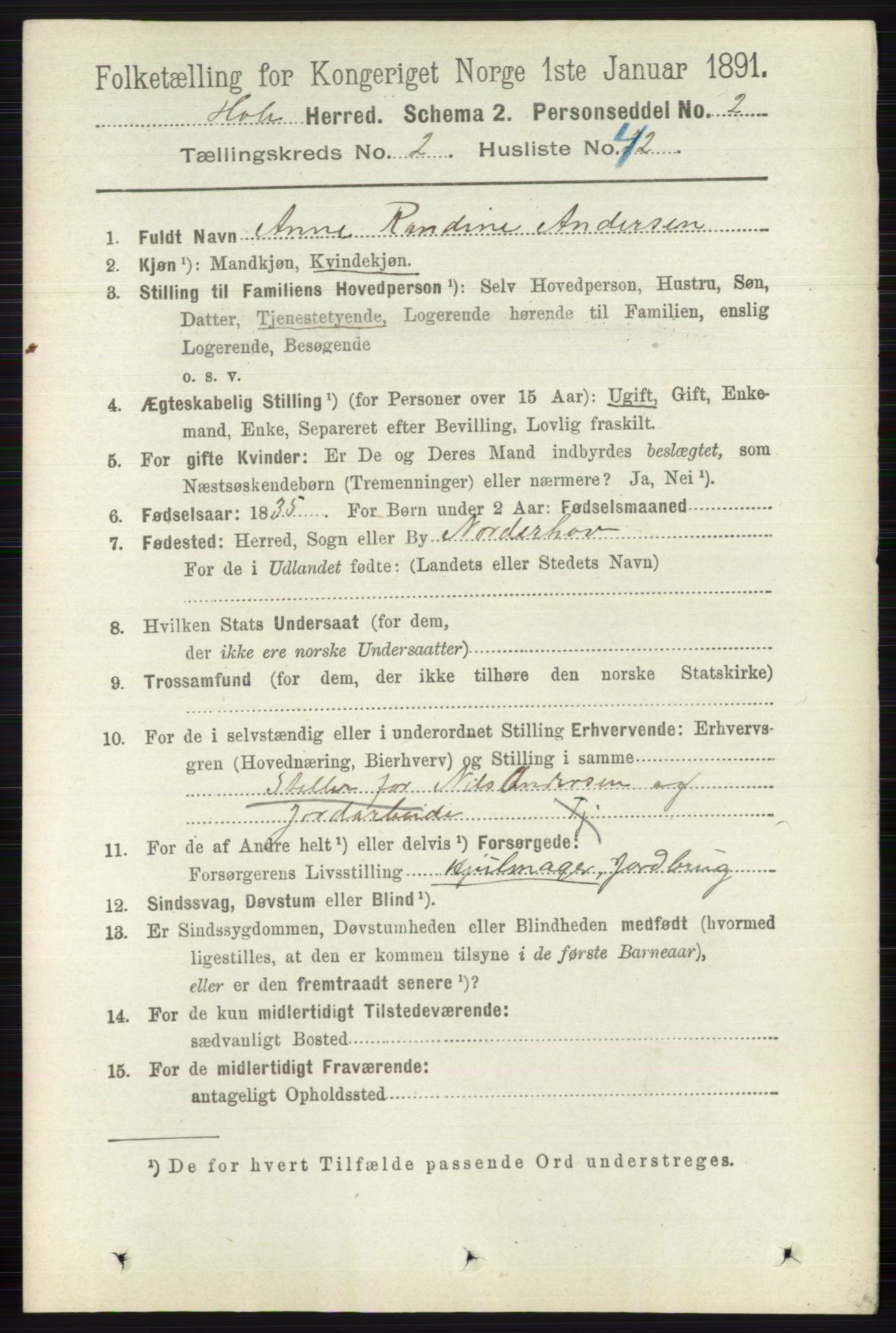 RA, Folketelling 1891 for 0612 Hole herred, 1891, s. 938