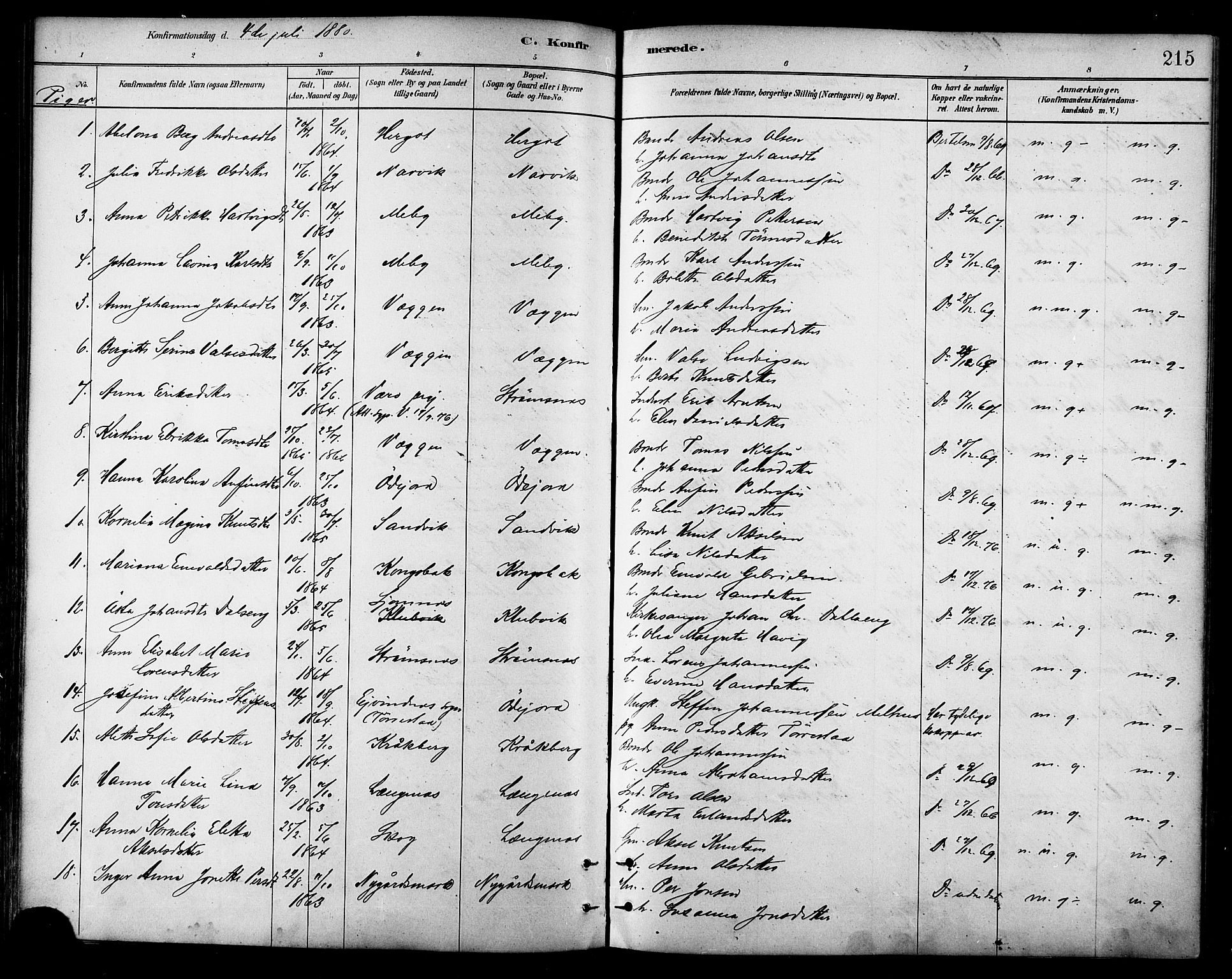 Ministerialprotokoller, klokkerbøker og fødselsregistre - Nordland, AV/SAT-A-1459/866/L0938: Ministerialbok nr. 866A01, 1879-1893, s. 215