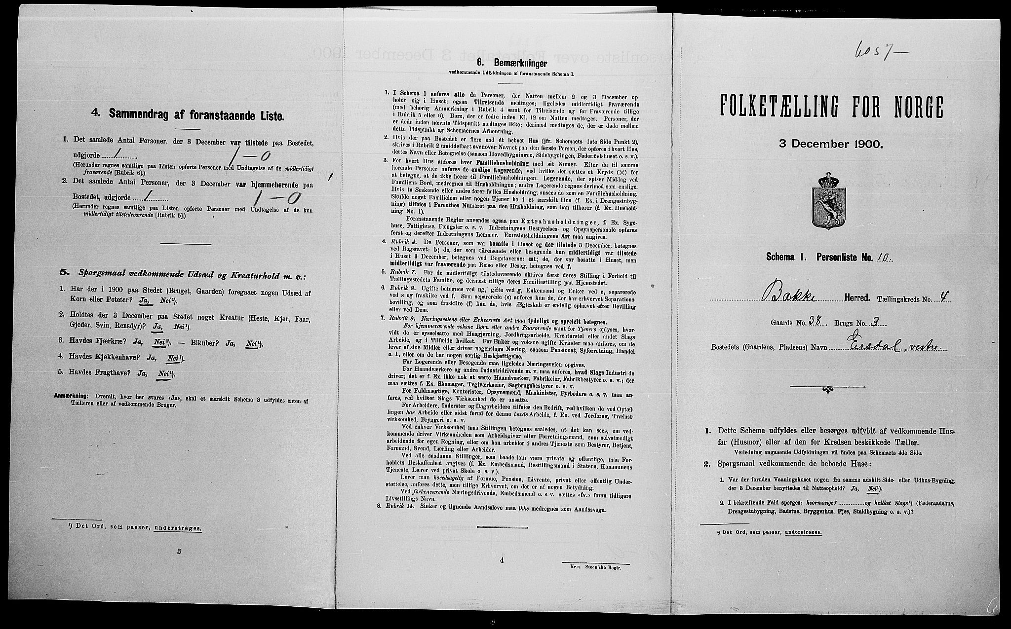 SAK, Folketelling 1900 for 1045 Bakke herred, 1900, s. 265