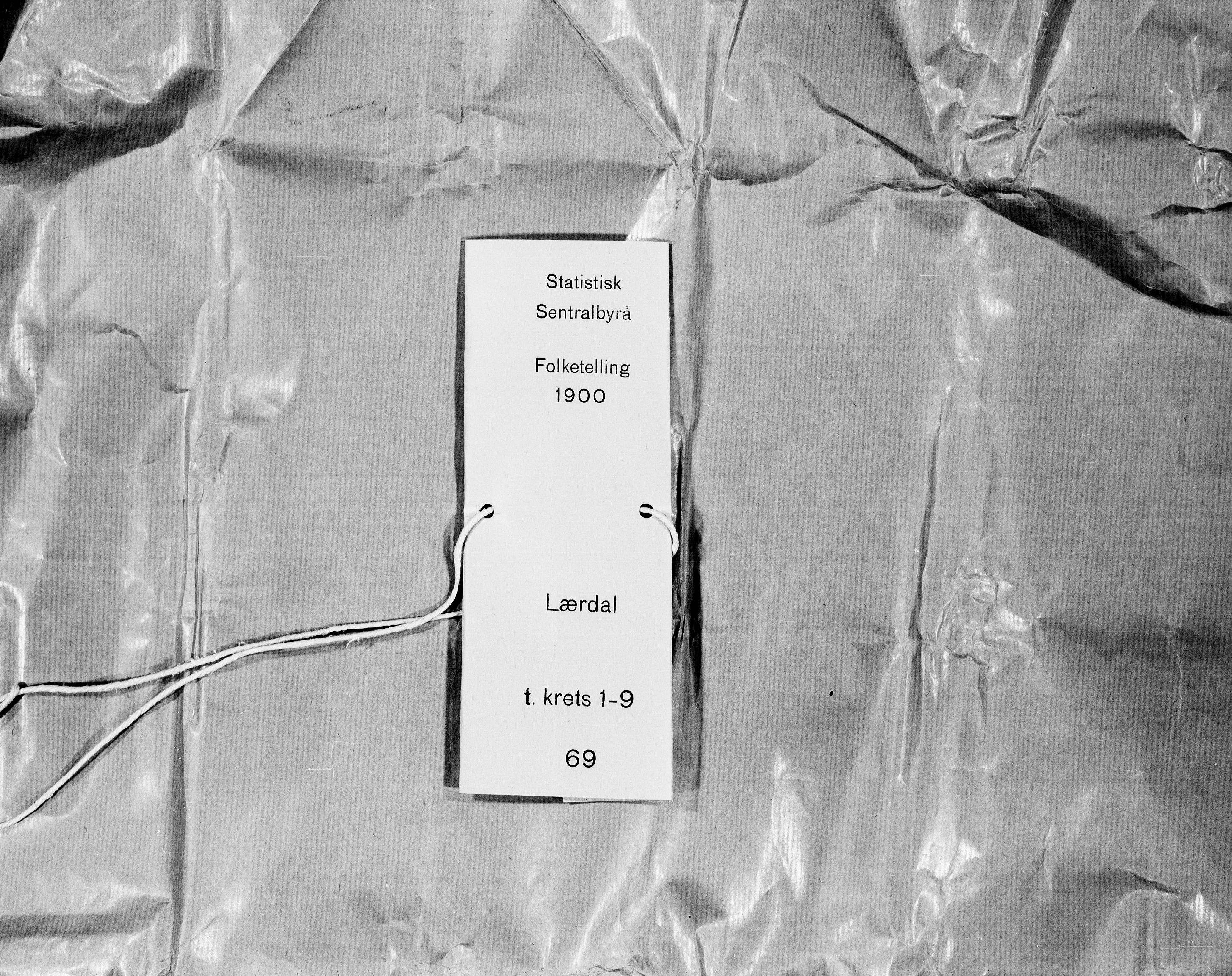 SAB, Folketelling 1900 for 1422 Lærdal herred, 1900, s. 20