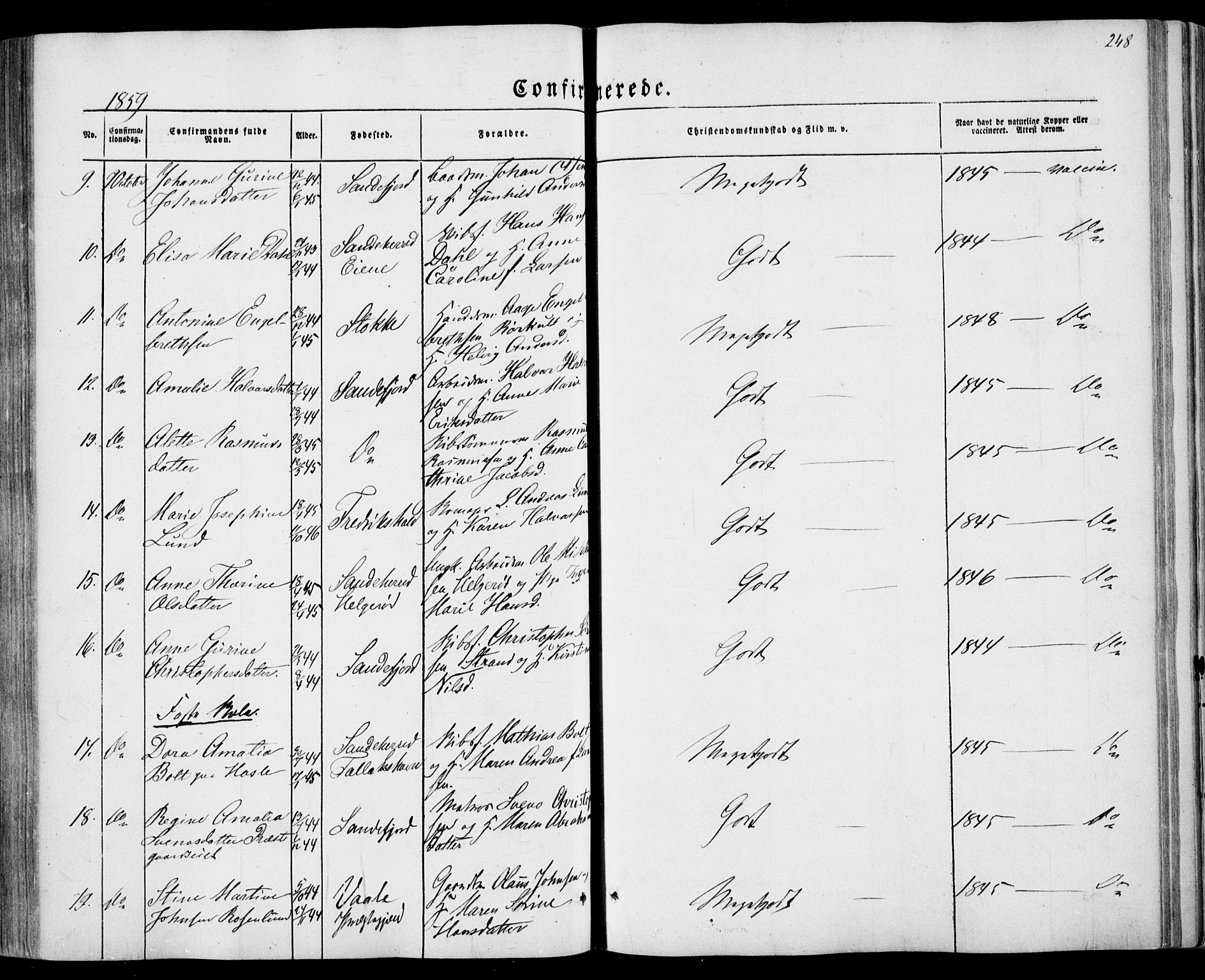 Sandar kirkebøker, AV/SAKO-A-243/F/Fa/L0007: Ministerialbok nr. 7, 1855-1861, s. 248