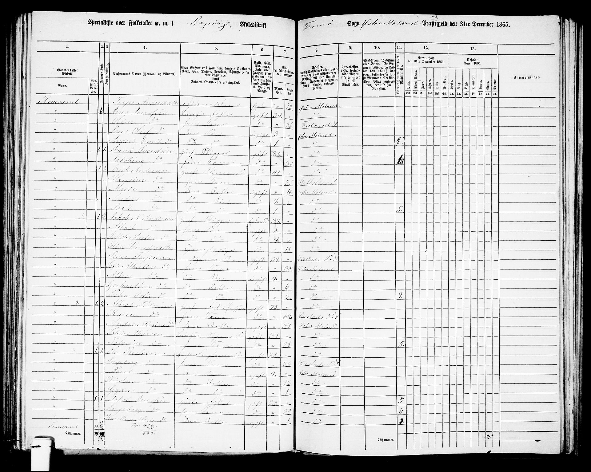 RA, Folketelling 1865 for 0918P Austre Moland prestegjeld, 1865, s. 246