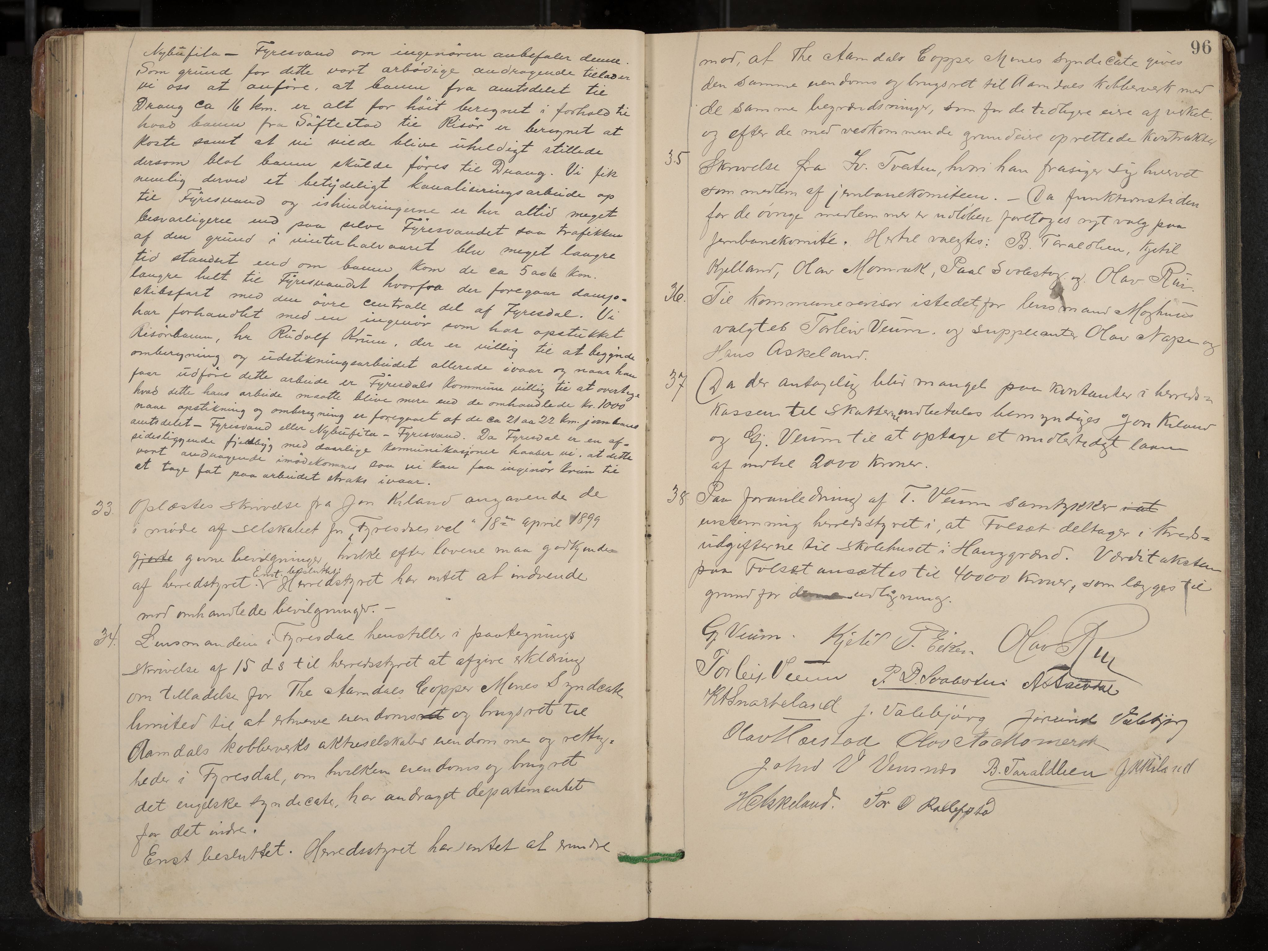 Fyresdal formannskap og sentraladministrasjon, IKAK/0831021-1/Aa/L0003: Møtebok, 1894-1903, s. 96