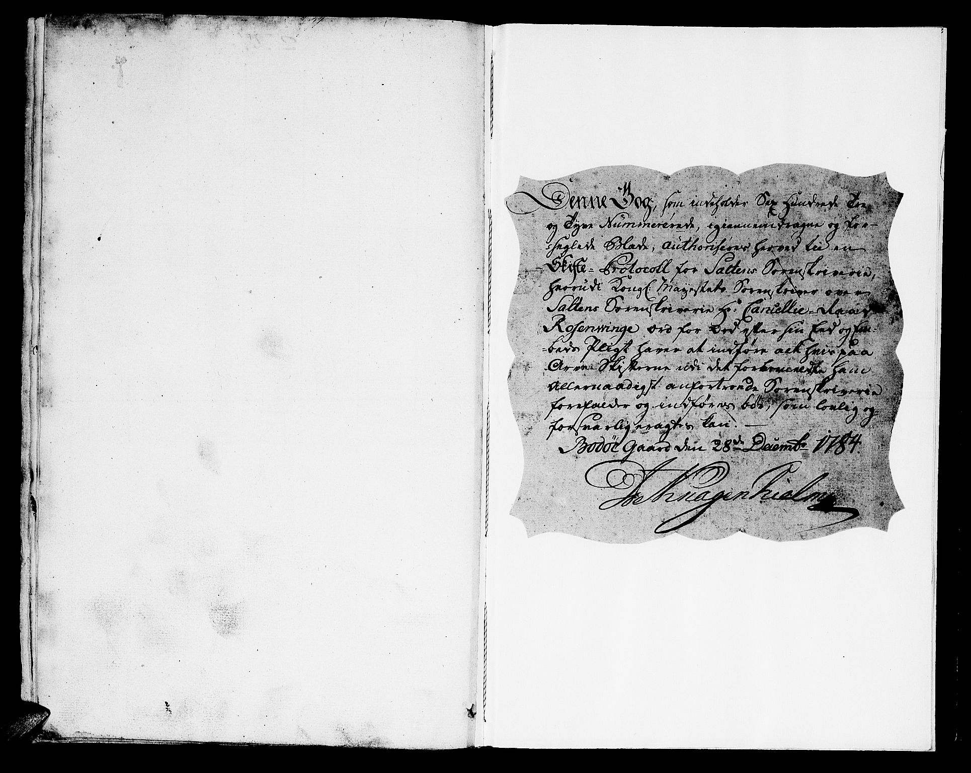 Salten sorenskriveri, AV/SAT-A-4578/1/3/3A/L0026: Skifteprotokoll 12c, 1788-1789