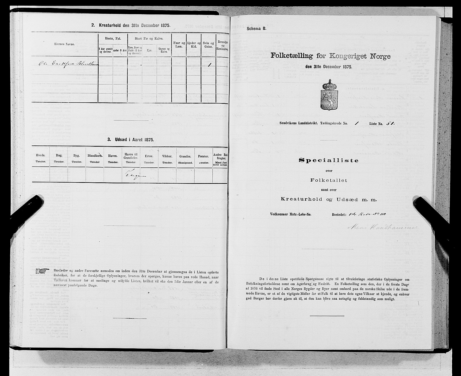 SAB, Folketelling 1875 for 1281L Bergen landdistrikt, Domkirkens landsokn og Sandvikens landsokn, 1875, s. 123