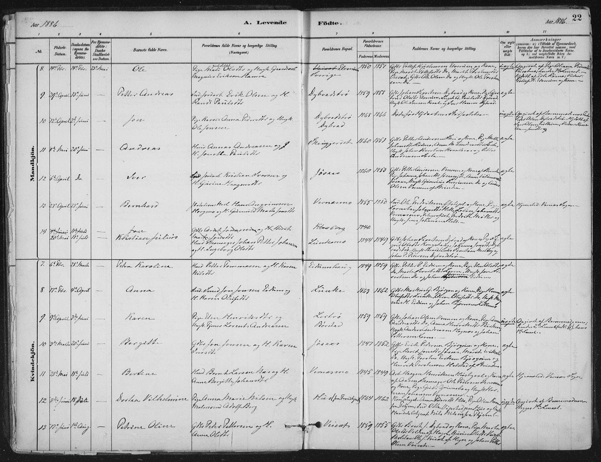 Ministerialprotokoller, klokkerbøker og fødselsregistre - Nord-Trøndelag, AV/SAT-A-1458/710/L0095: Ministerialbok nr. 710A01, 1880-1914, s. 22