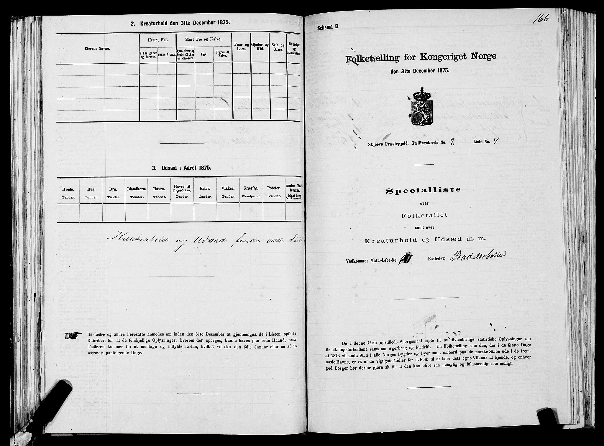 SATØ, Folketelling 1875 for 1941P Skjervøy prestegjeld, 1875, s. 1166