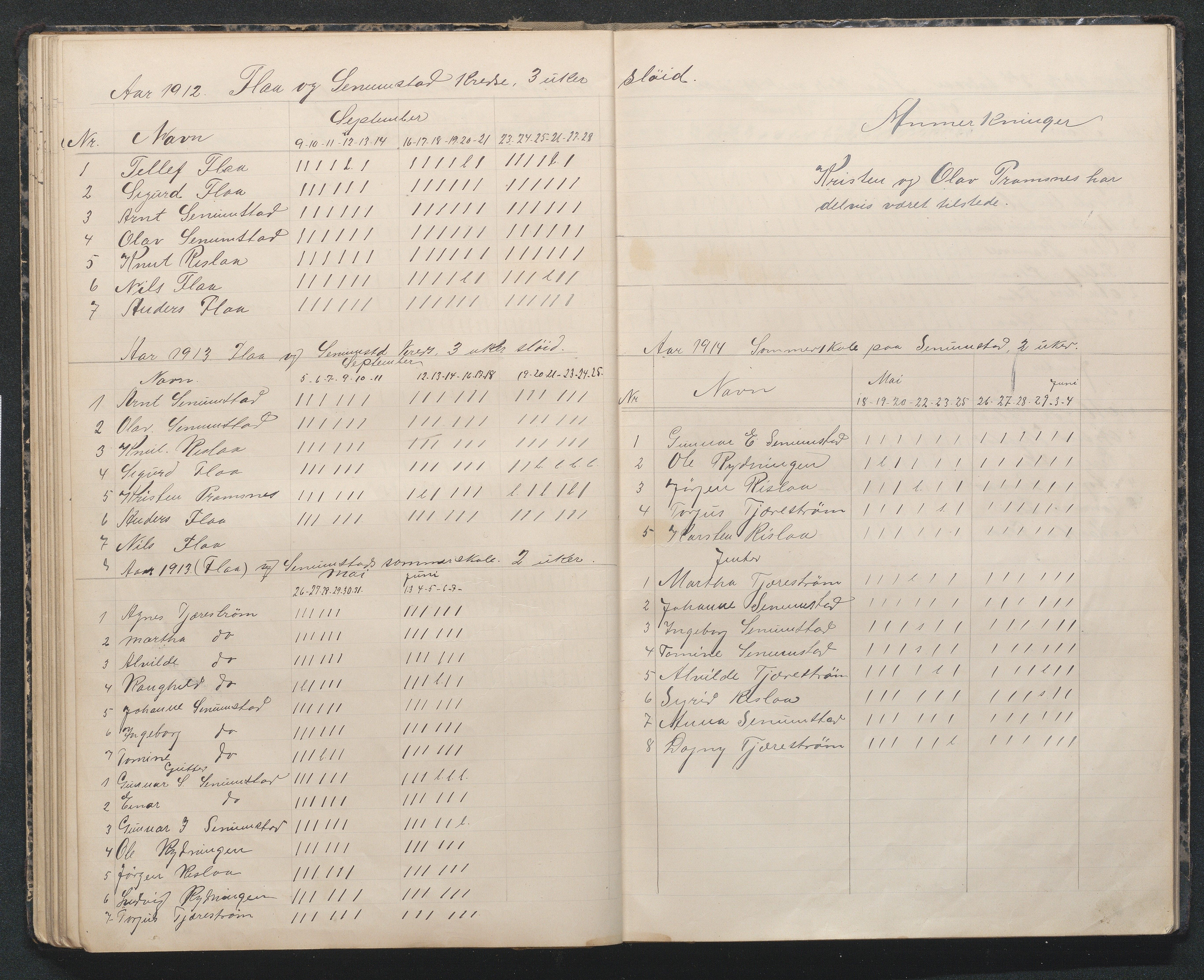 Birkenes kommune, Flå, Senumstad og Rislå skolekretser frem til 1991, AAMA/KA0928-550b_91/F02/L0002: Dagbok for Flå og Senumstad, 1903-1945