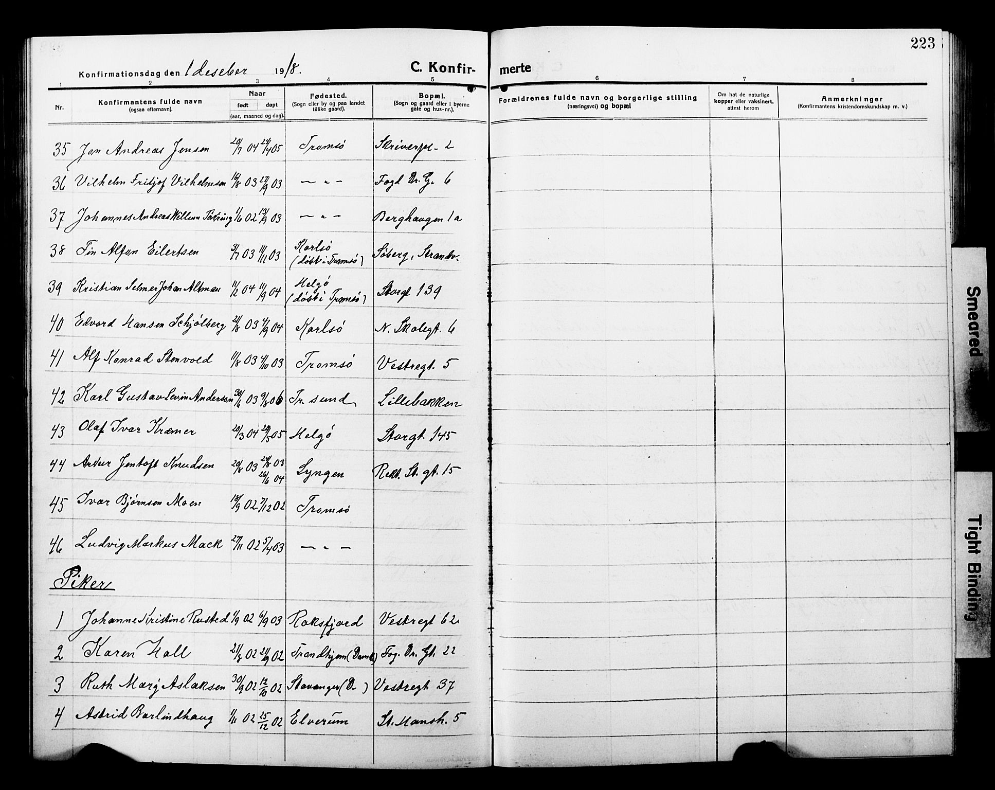 Tromsø sokneprestkontor/stiftsprosti/domprosti, AV/SATØ-S-1343/G/Gb/L0009klokker: Klokkerbok nr. 9, 1915-1925, s. 223