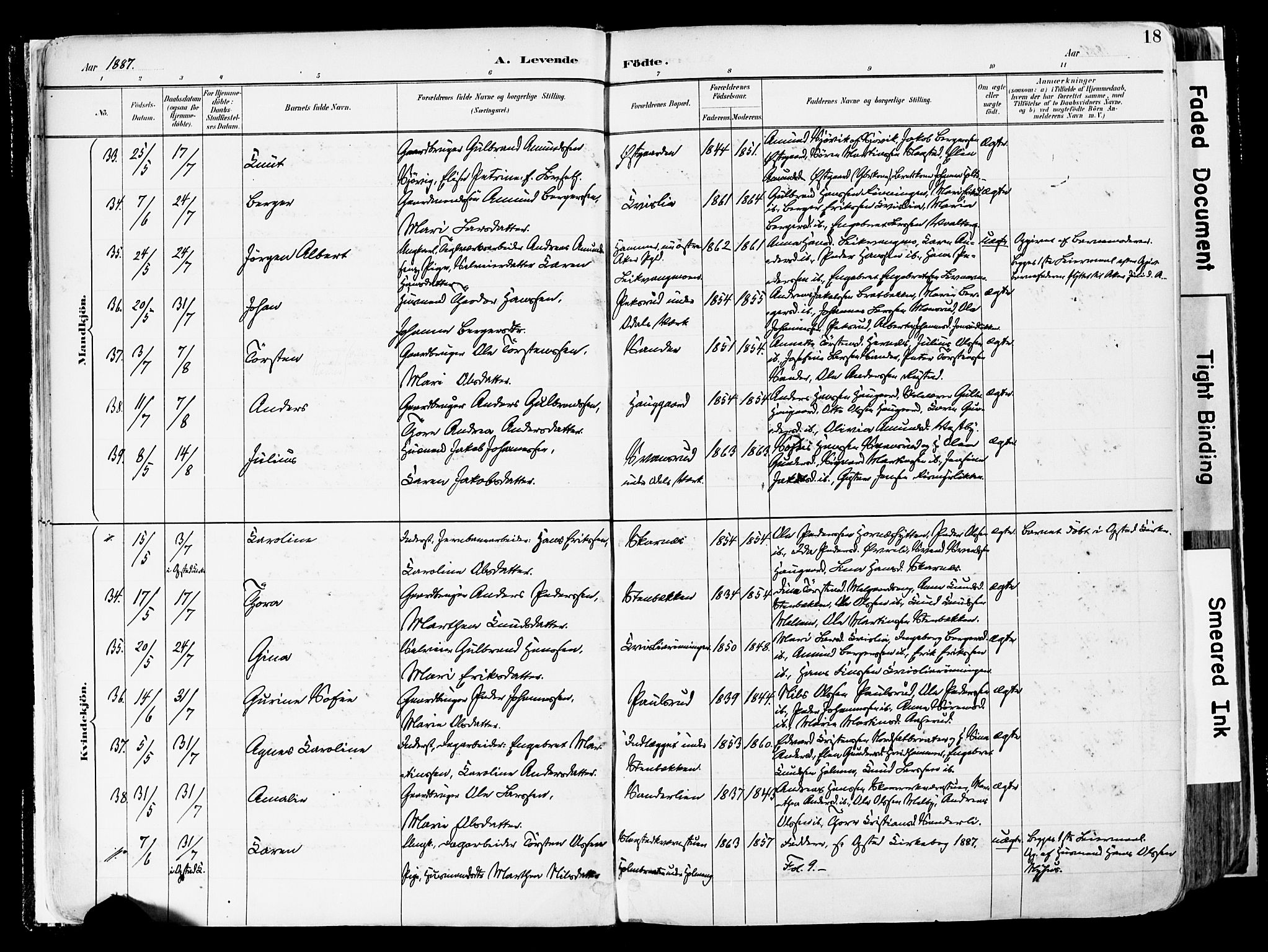 Sør-Odal prestekontor, AV/SAH-PREST-030/H/Ha/Haa/L0006: Ministerialbok nr. 6, 1886-1931, s. 18