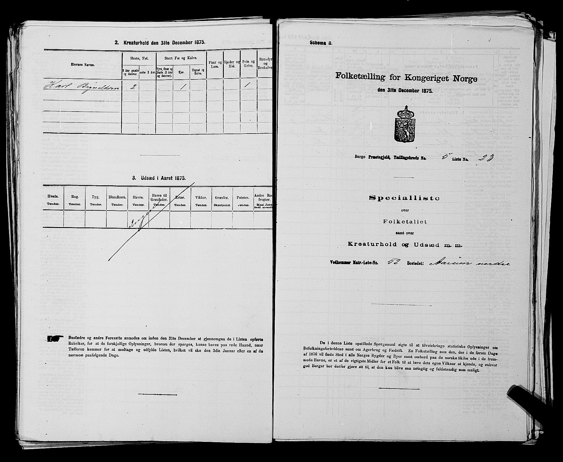 RA, Folketelling 1875 for 0113P Borge prestegjeld, 1875, s. 799