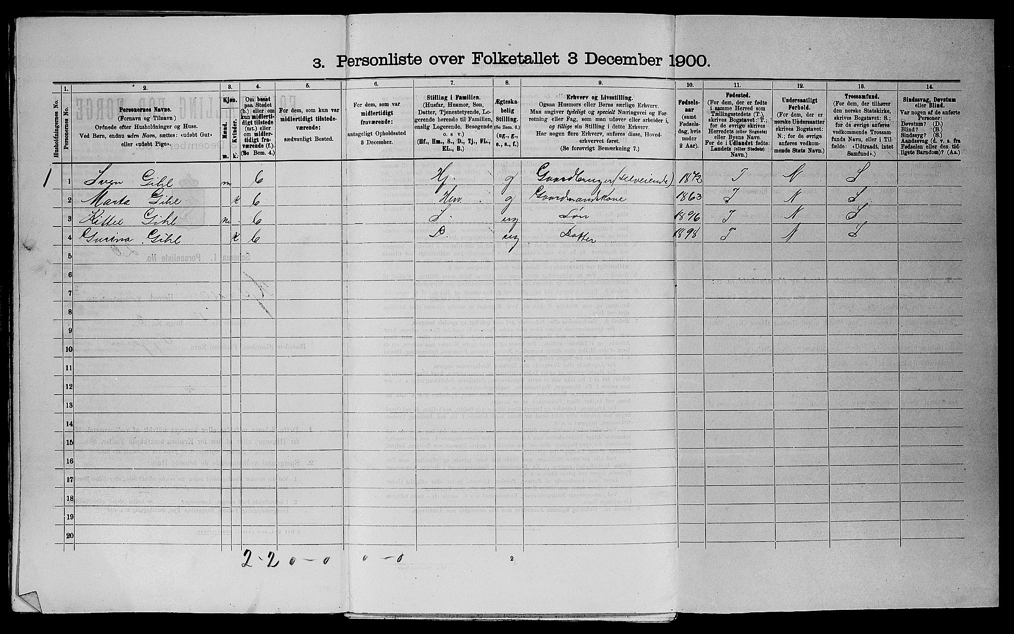 SAST, Folketelling 1900 for 1133 Hjelmeland herred, 1900, s. 238