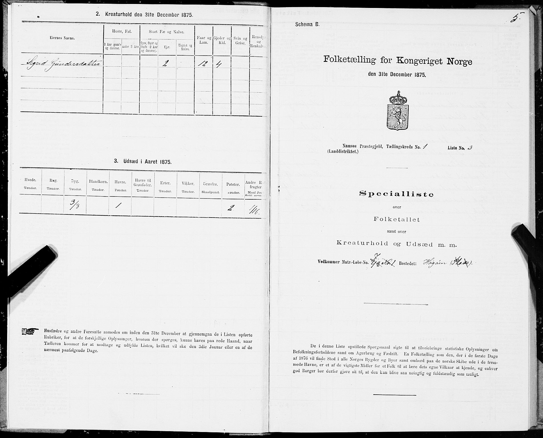 SAT, Folketelling 1875 for 1745L Namsos prestegjeld, Vemundvik sokn og Sævik sokn, 1875, s. 1005