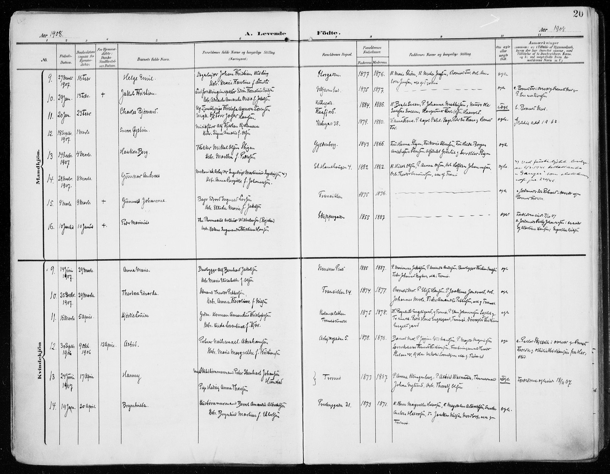 Tromsø sokneprestkontor/stiftsprosti/domprosti, AV/SATØ-S-1343/G/Ga/L0017kirke: Ministerialbok nr. 17, 1907-1917, s. 20