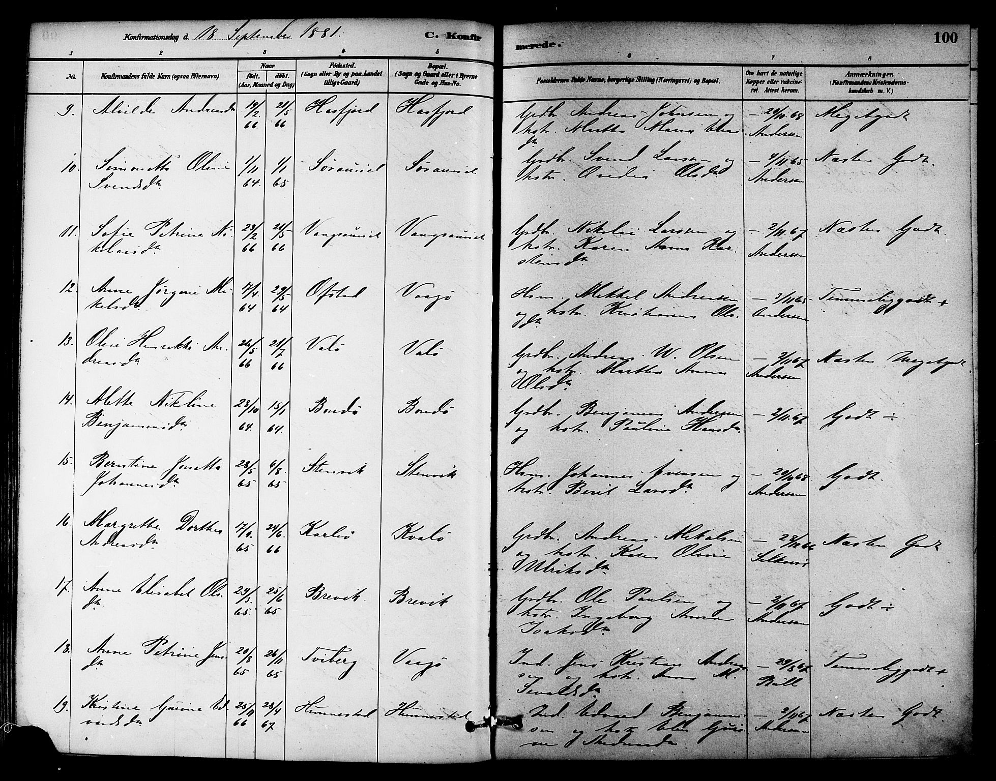 Ministerialprotokoller, klokkerbøker og fødselsregistre - Nord-Trøndelag, SAT/A-1458/786/L0686: Ministerialbok nr. 786A02, 1880-1887, s. 100