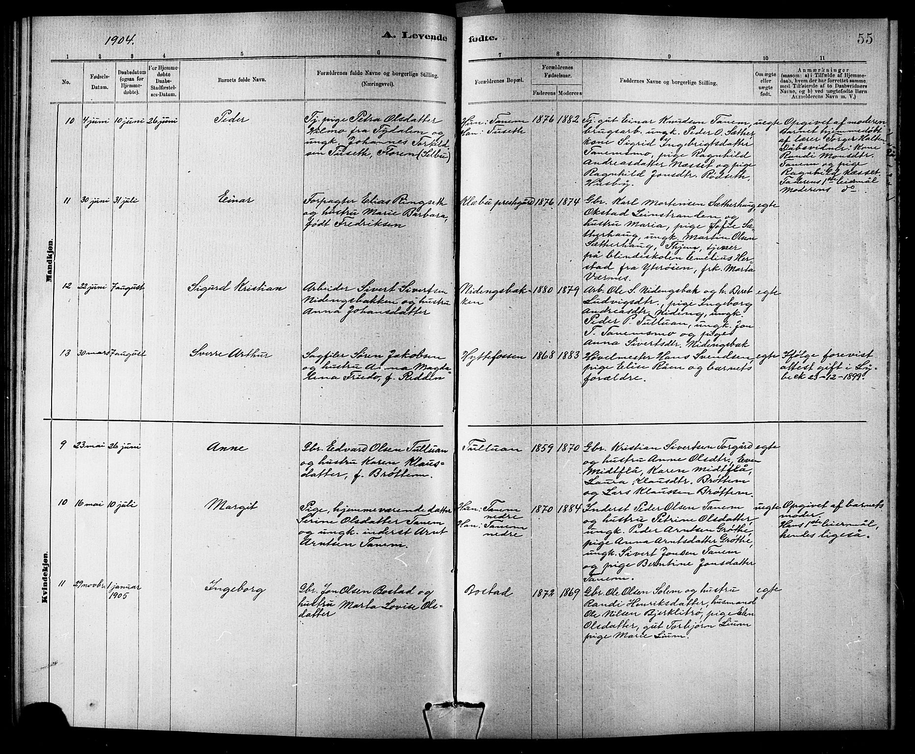 Ministerialprotokoller, klokkerbøker og fødselsregistre - Sør-Trøndelag, AV/SAT-A-1456/618/L0452: Klokkerbok nr. 618C03, 1884-1906, s. 55