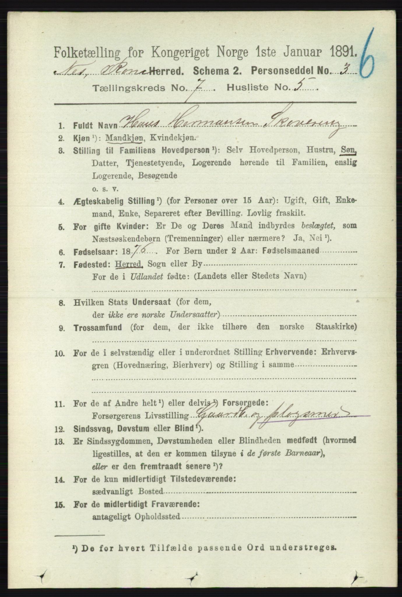 RA, Folketelling 1891 for 0236 Nes herred, 1891, s. 4051