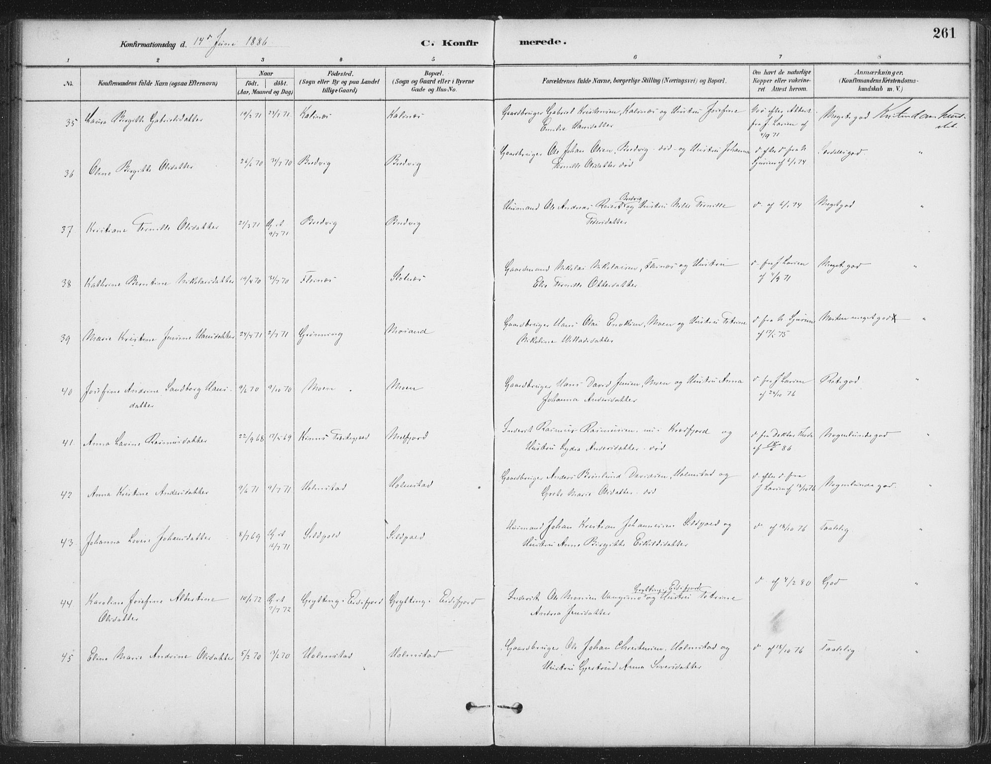 Ministerialprotokoller, klokkerbøker og fødselsregistre - Nordland, AV/SAT-A-1459/888/L1244: Ministerialbok nr. 888A10, 1880-1890, s. 261