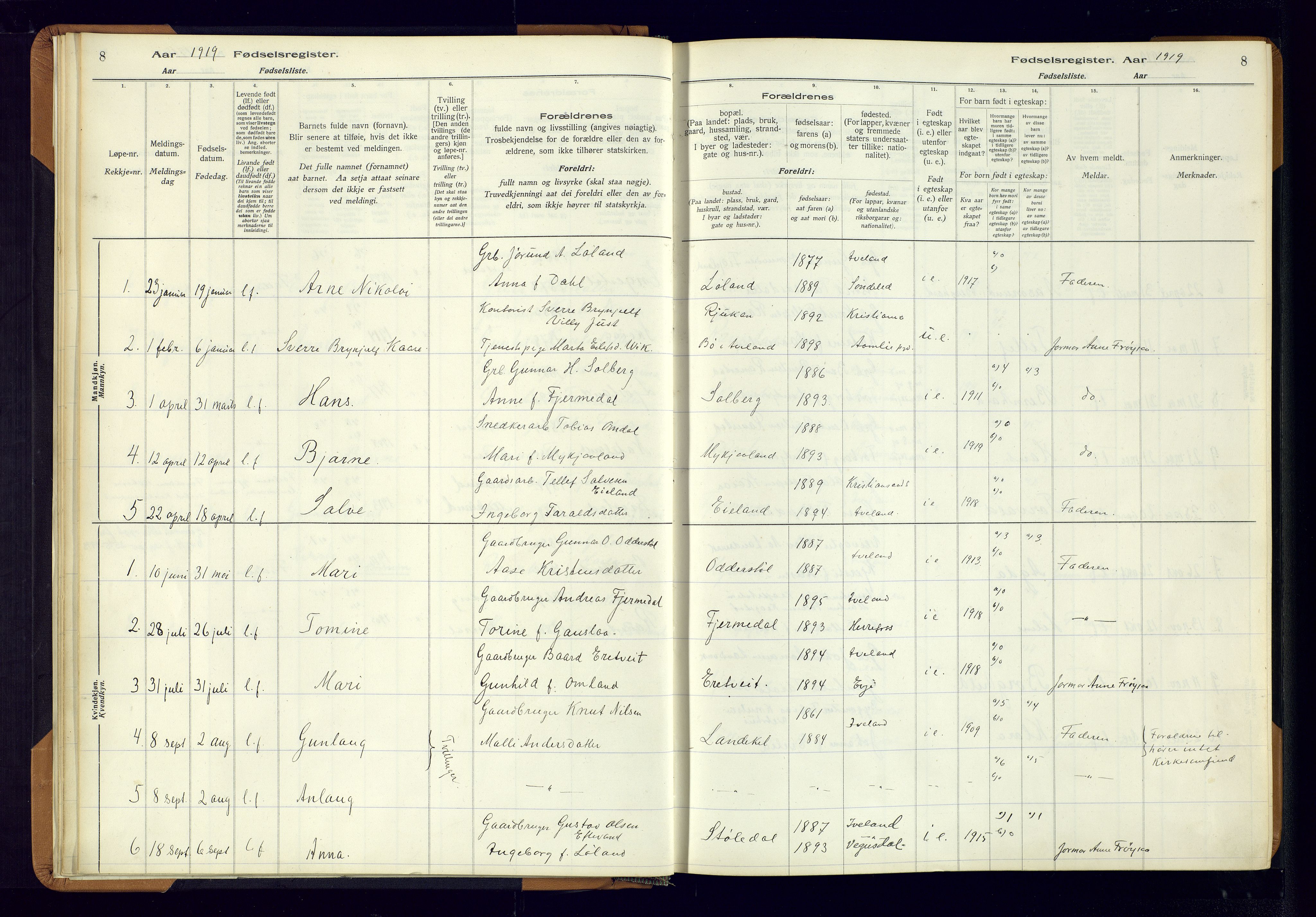 Evje sokneprestkontor, AV/SAK-1111-0008/J/Jc/L0003: Fødselsregister nr. II.4.3, 1916-1982, s. 8