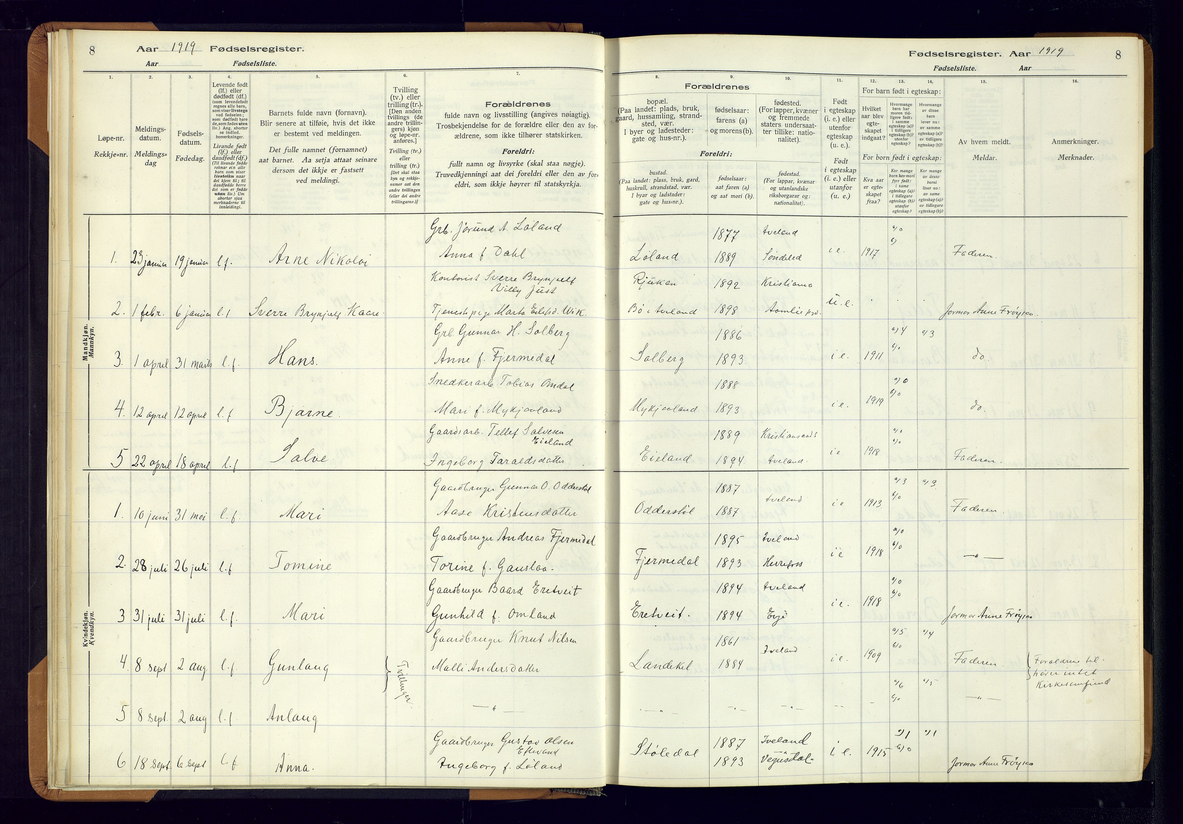 Evje sokneprestkontor, SAK/1111-0008/J/Jc/L0003: Fødselsregister nr. II.4.3, 1916-1982, s. 8