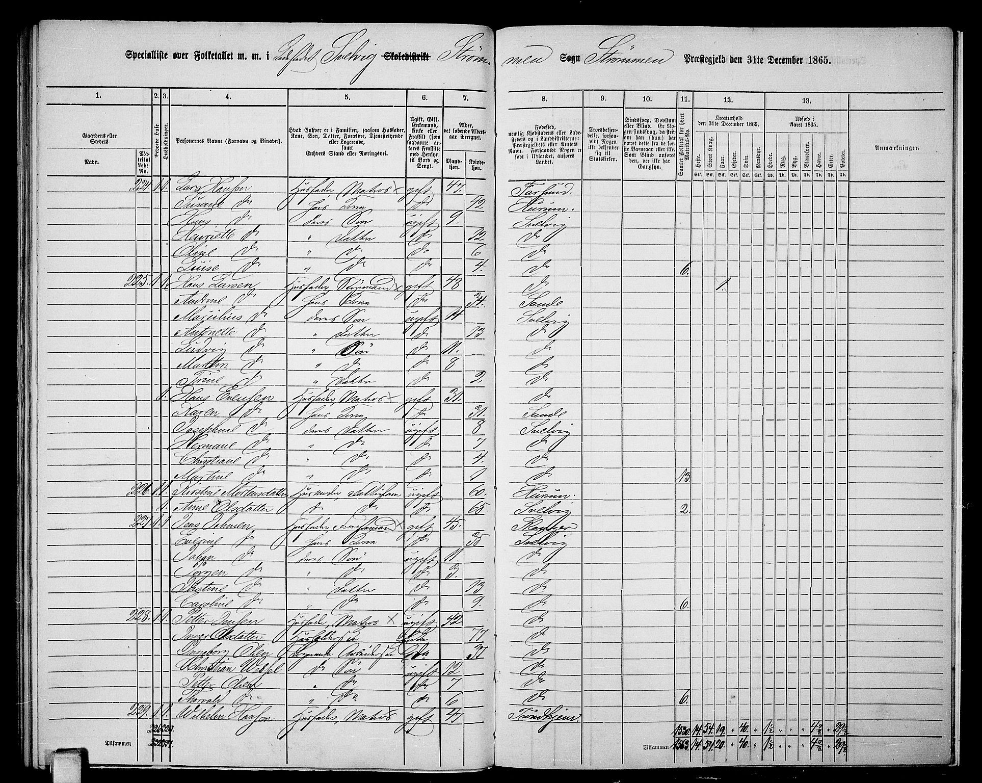 RA, Folketelling 1865 for 0711P Strømm prestegjeld, 1865, s. 116