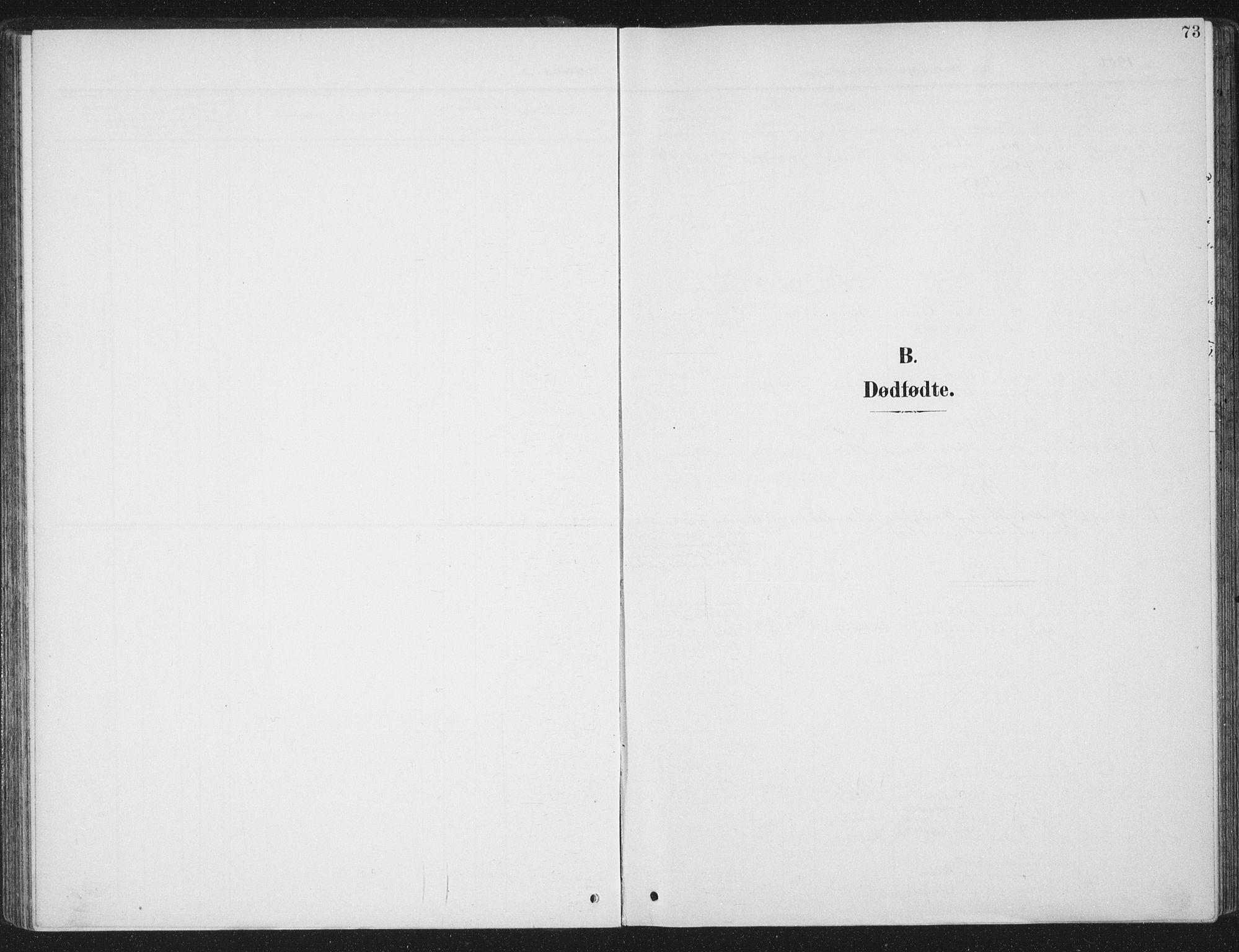 Ministerialprotokoller, klokkerbøker og fødselsregistre - Sør-Trøndelag, SAT/A-1456/657/L0709: Ministerialbok nr. 657A10, 1905-1919, s. 73