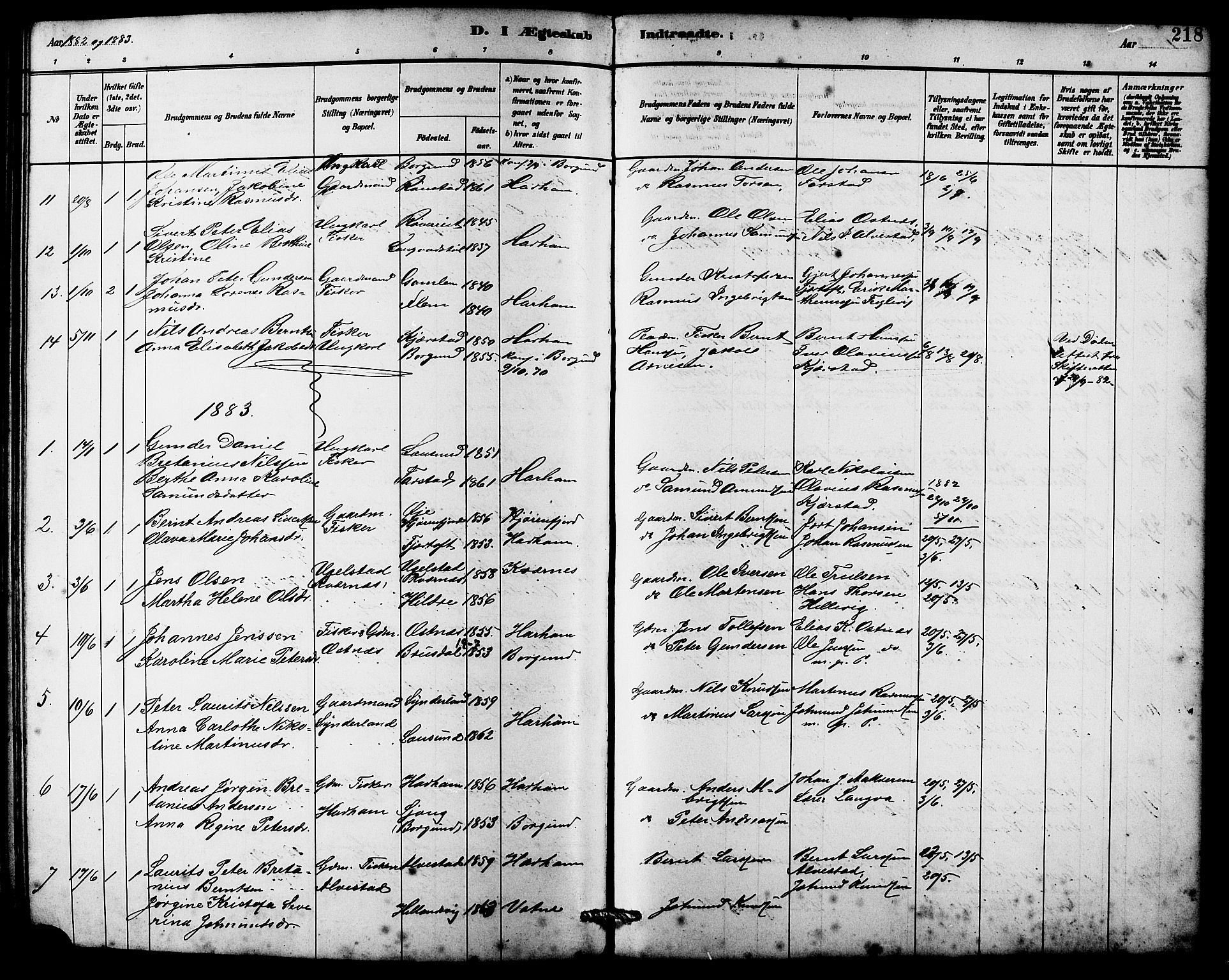 Ministerialprotokoller, klokkerbøker og fødselsregistre - Møre og Romsdal, SAT/A-1454/536/L0510: Klokkerbok nr. 536C05, 1881-1898, s. 218