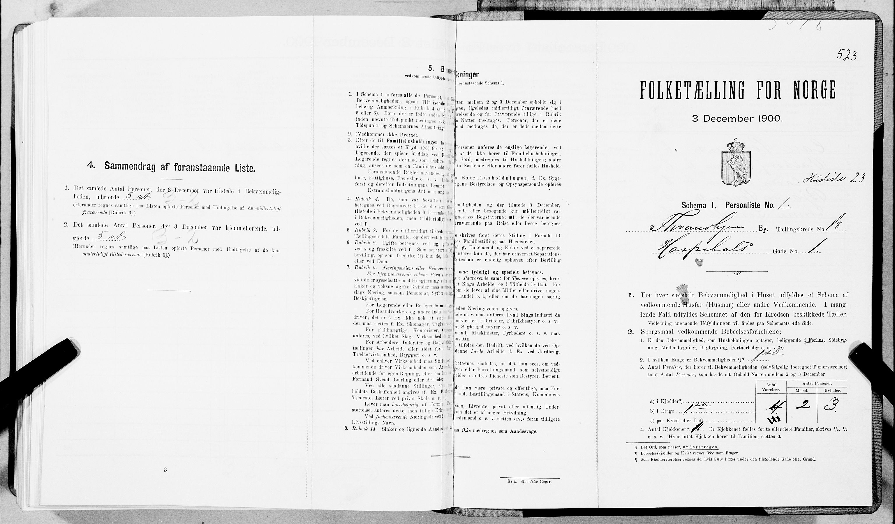 SAT, Folketelling 1900 for 1601 Trondheim kjøpstad, 1900, s. 3060