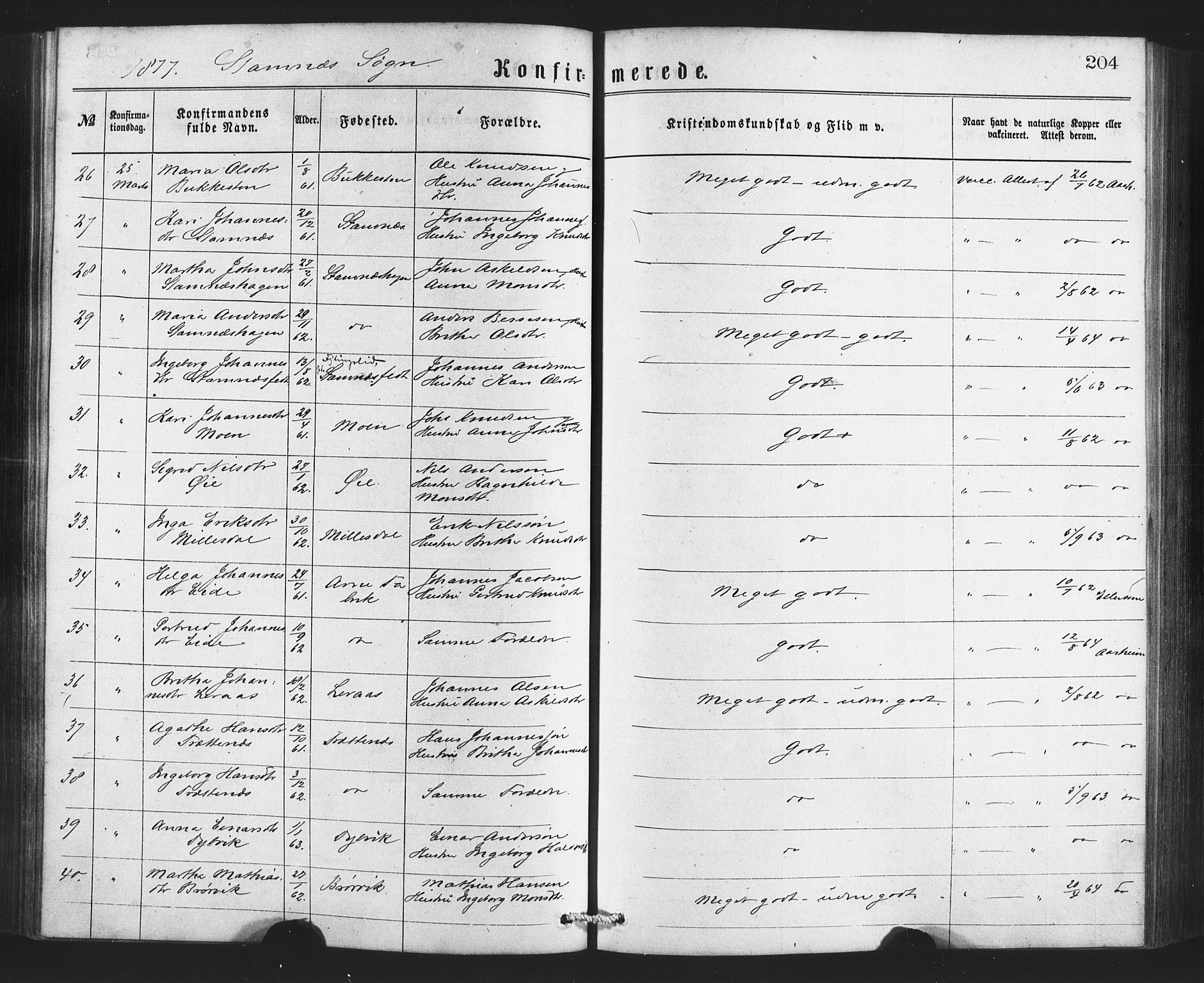 Bruvik Sokneprestembete, AV/SAB-A-74701/H/Haa: Ministerialbok nr. A 1, 1869-1877, s. 204