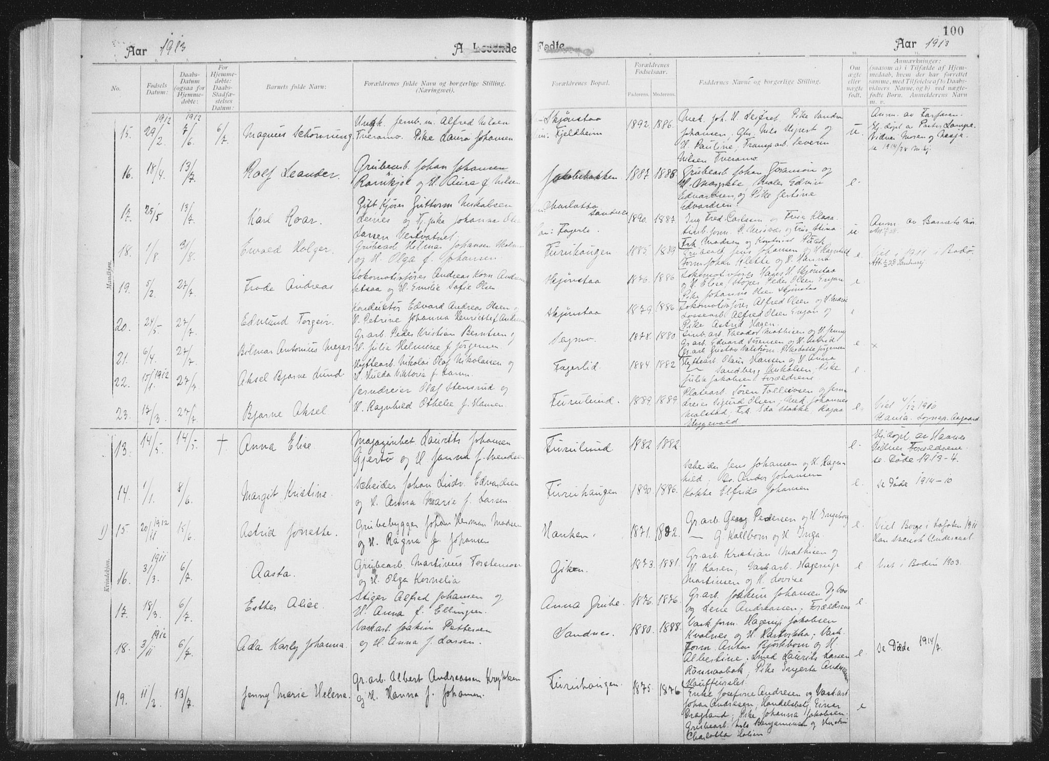 Ministerialprotokoller, klokkerbøker og fødselsregistre - Nordland, AV/SAT-A-1459/850/L0711: Residerende kapellans bok nr. 850B01, 1902-1915, s. 100