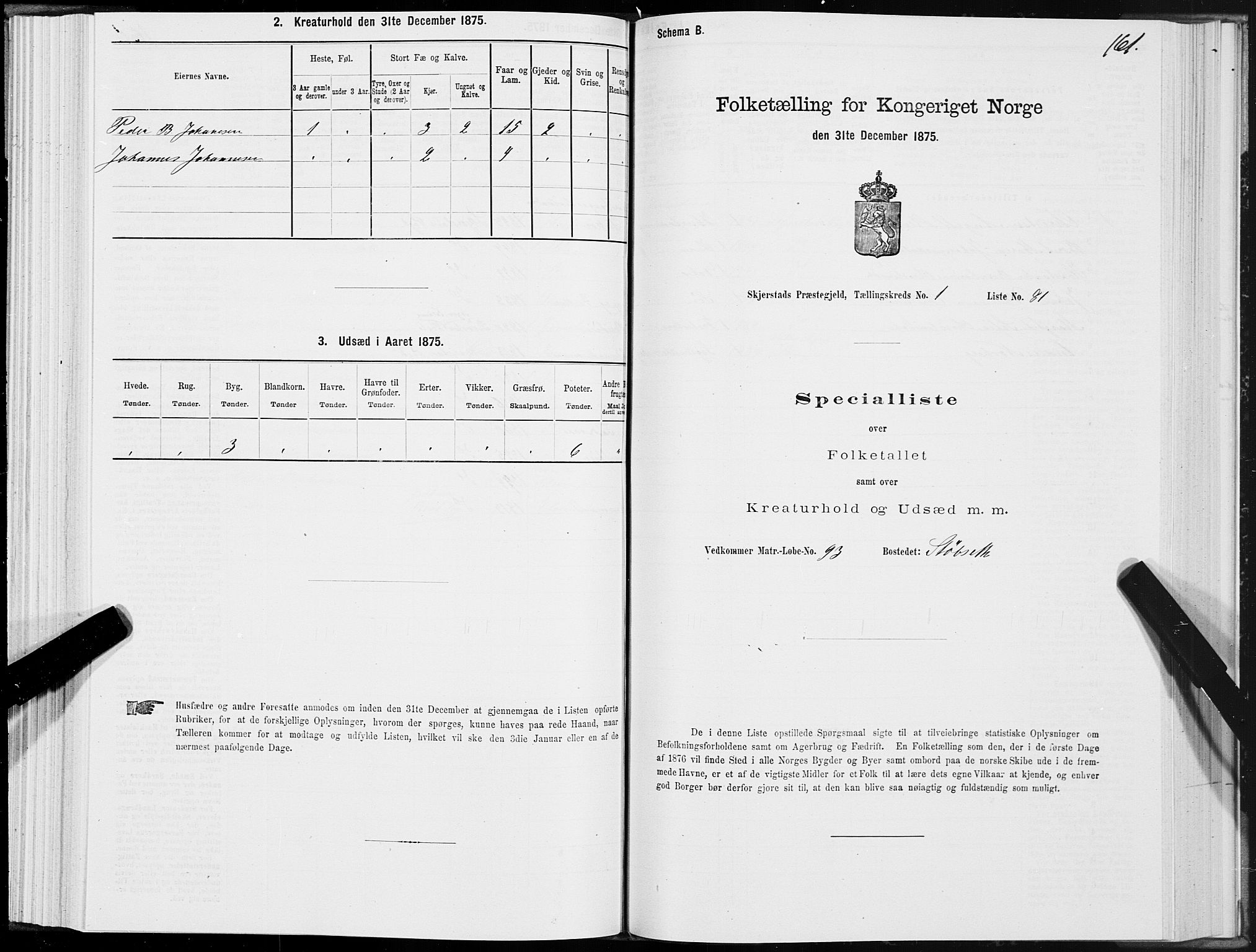 SAT, Folketelling 1875 for 1842P Skjerstad prestegjeld, 1875, s. 1161