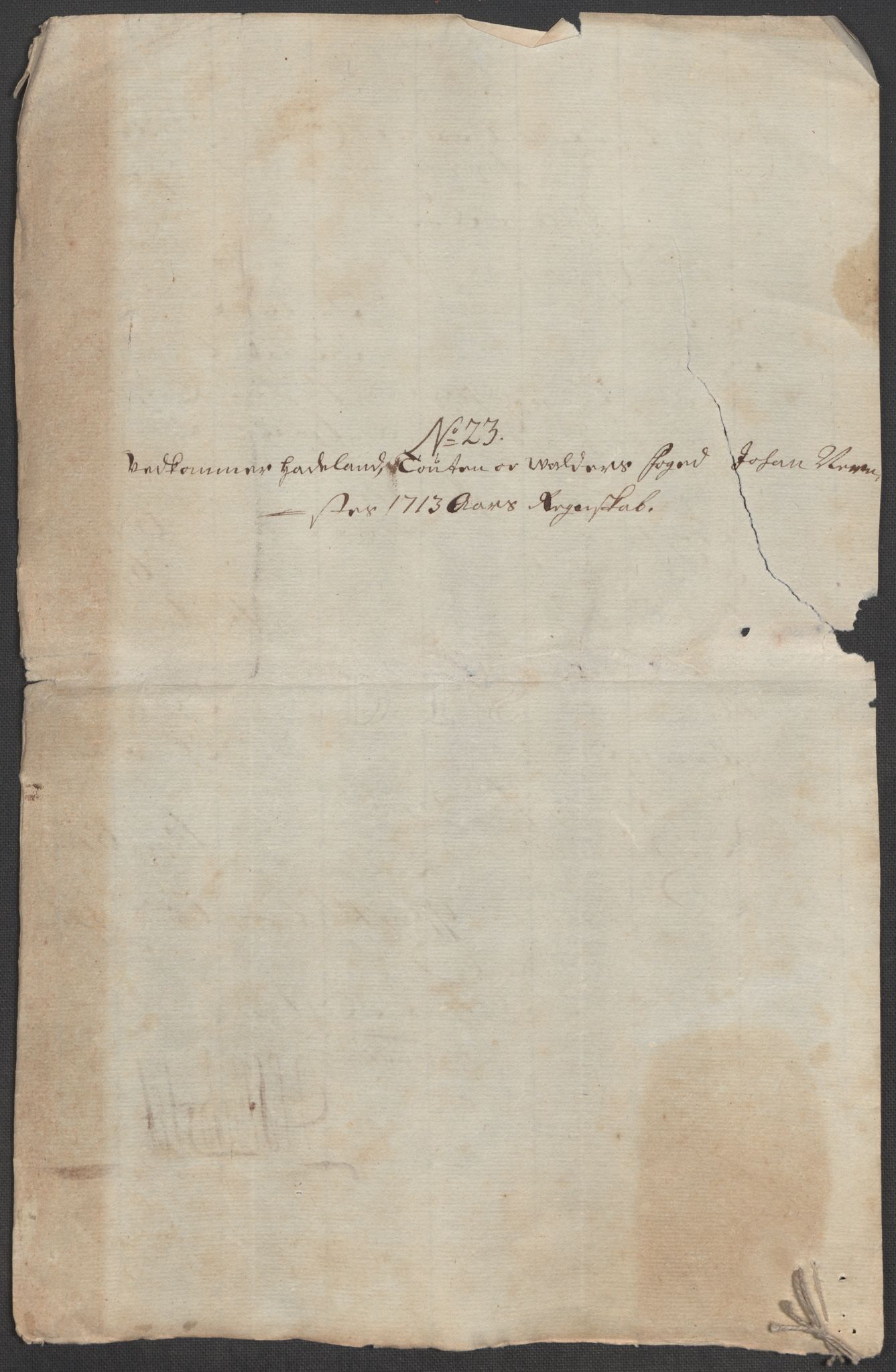 Rentekammeret inntil 1814, Reviderte regnskaper, Fogderegnskap, RA/EA-4092/R18/L1311: Fogderegnskap Hadeland, Toten og Valdres, 1713, s. 304