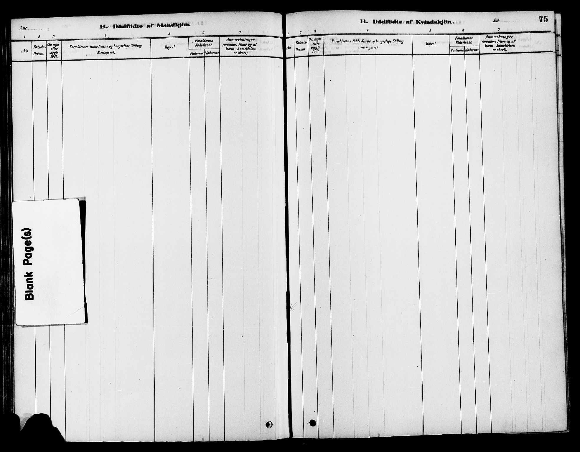 Søndre Land prestekontor, SAH/PREST-122/K/L0002: Ministerialbok nr. 2, 1878-1894, s. 75