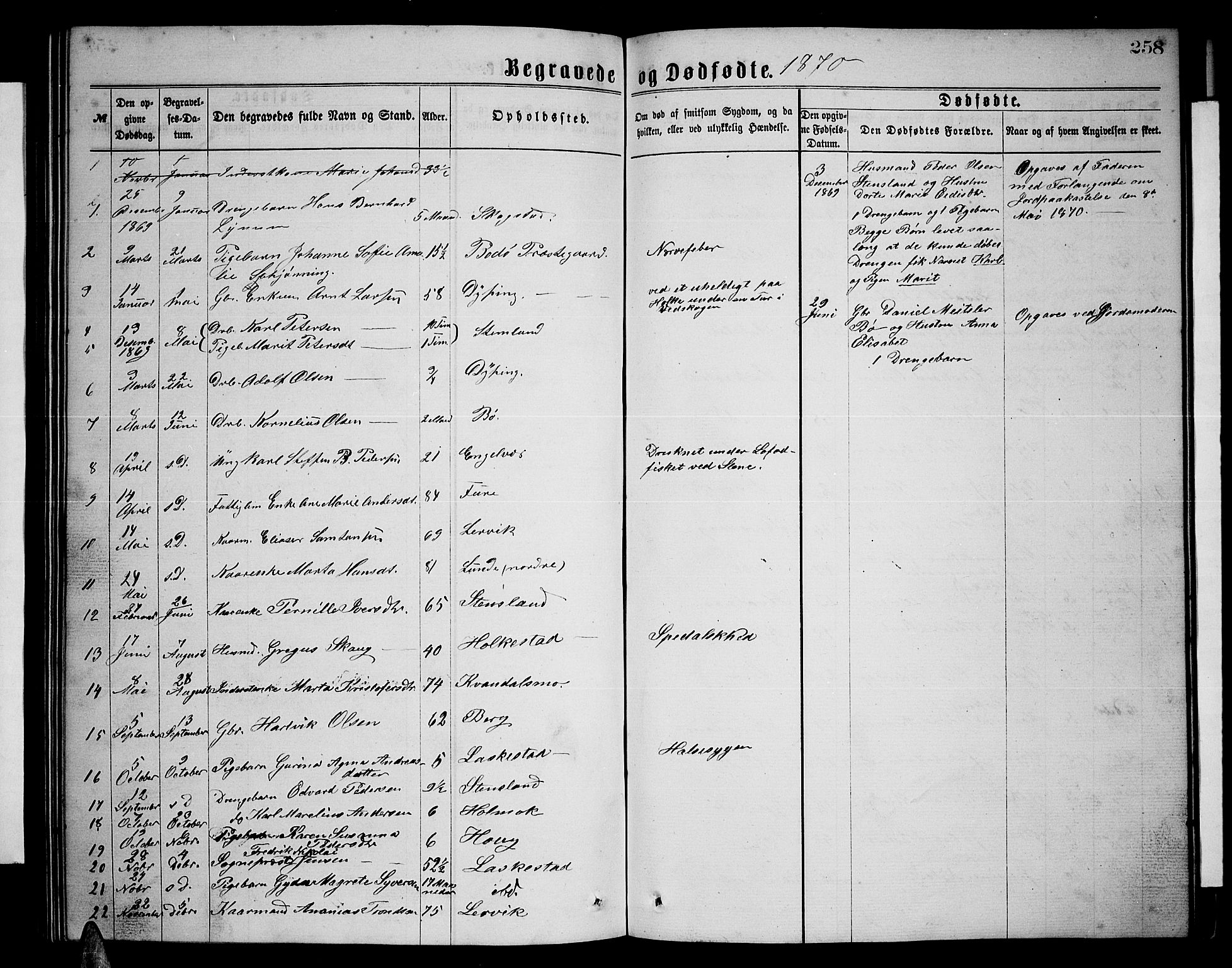 Ministerialprotokoller, klokkerbøker og fødselsregistre - Nordland, AV/SAT-A-1459/855/L0815: Klokkerbok nr. 855C04, 1865-1878, s. 258