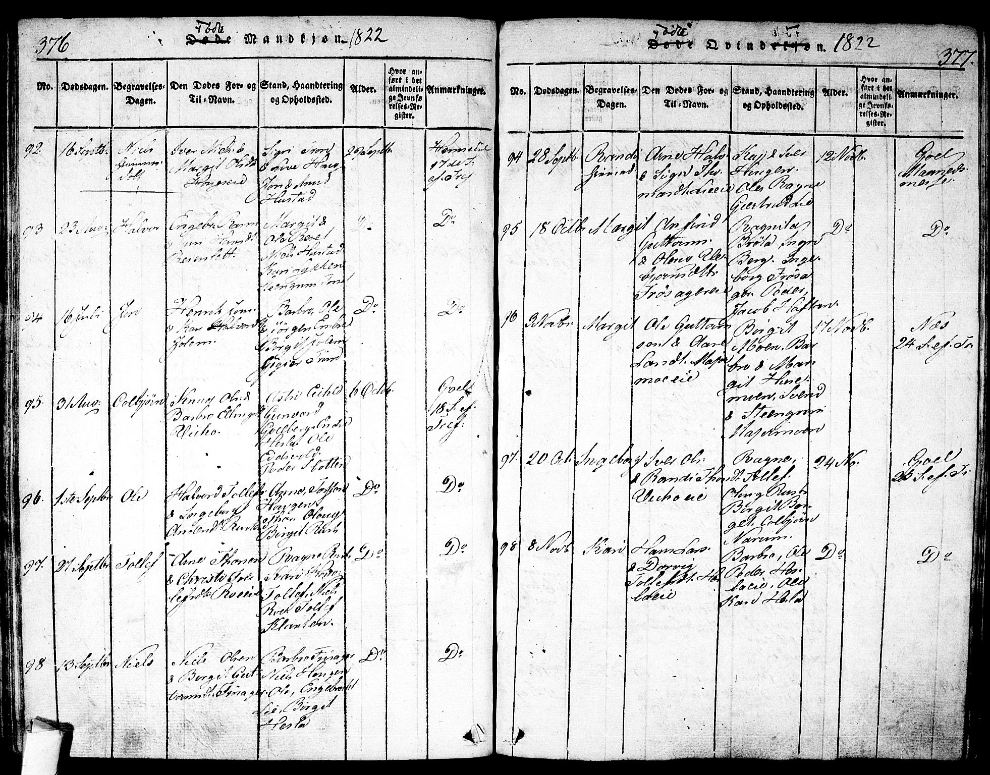 Nes kirkebøker, AV/SAKO-A-236/F/Fa/L0007: Ministerialbok nr. 7, 1815-1823, s. 376-377