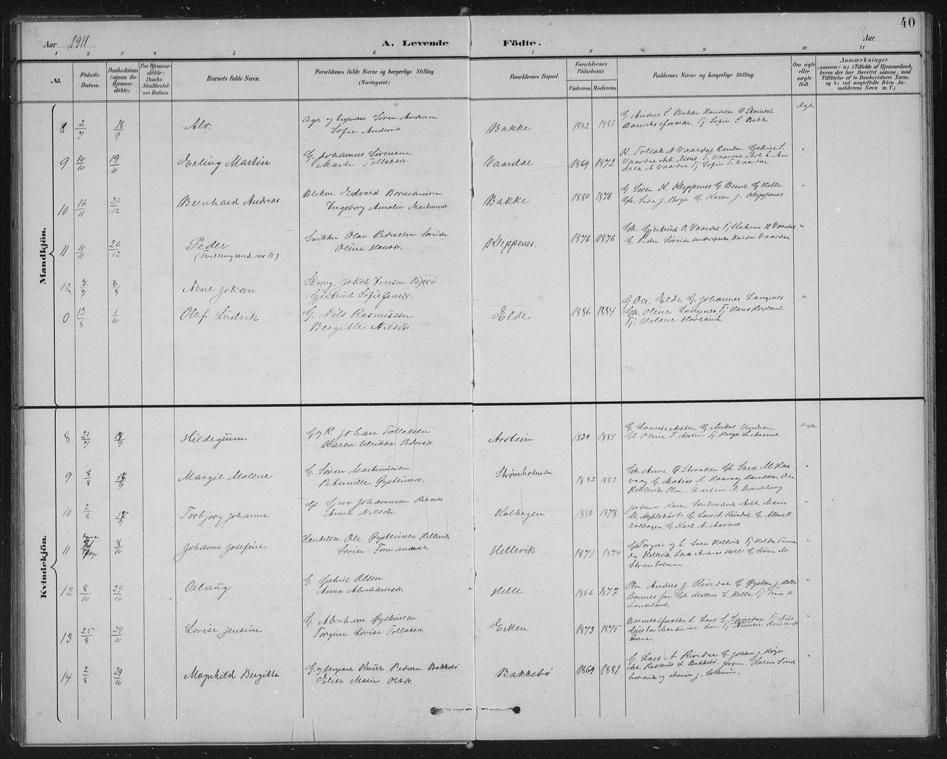 Fjaler sokneprestembete, AV/SAB-A-79801/H/Hab/Habb/L0002: Klokkerbok nr. B 2, 1895-1915, s. 40
