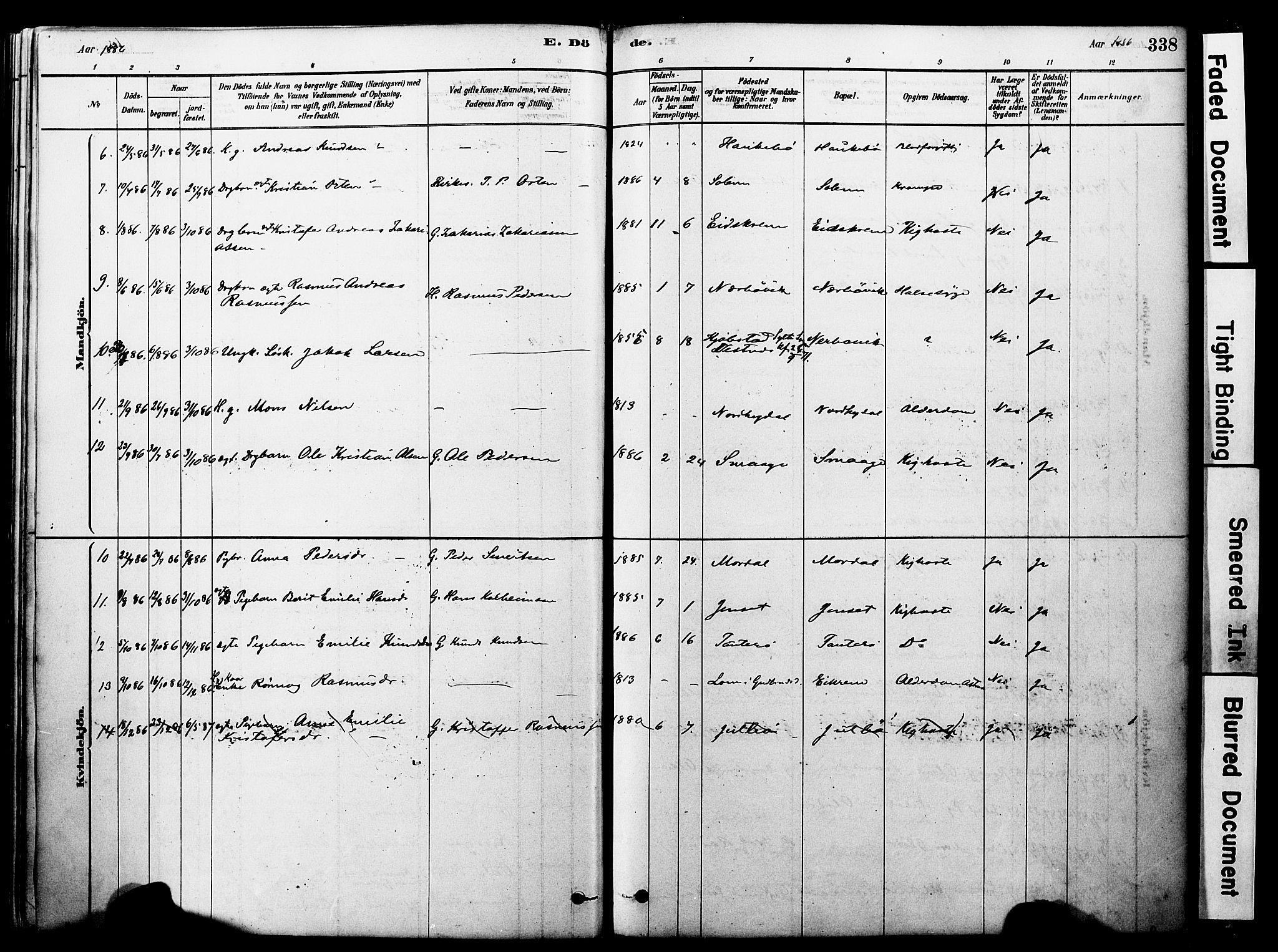 Ministerialprotokoller, klokkerbøker og fødselsregistre - Møre og Romsdal, AV/SAT-A-1454/560/L0721: Ministerialbok nr. 560A05, 1878-1917, s. 338