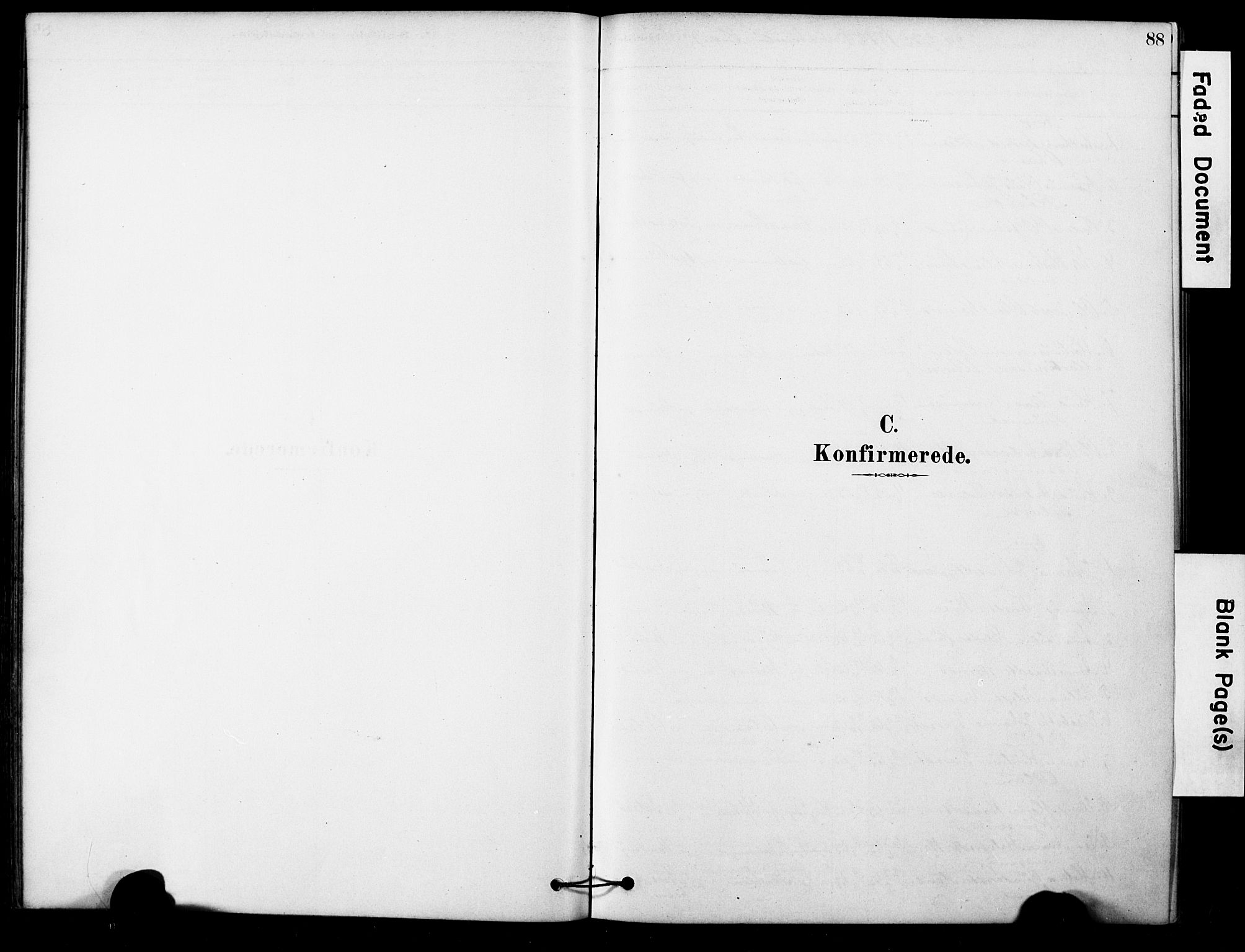 Ministerialprotokoller, klokkerbøker og fødselsregistre - Møre og Romsdal, AV/SAT-A-1454/561/L0729: Ministerialbok nr. 561A03, 1878-1900, s. 88