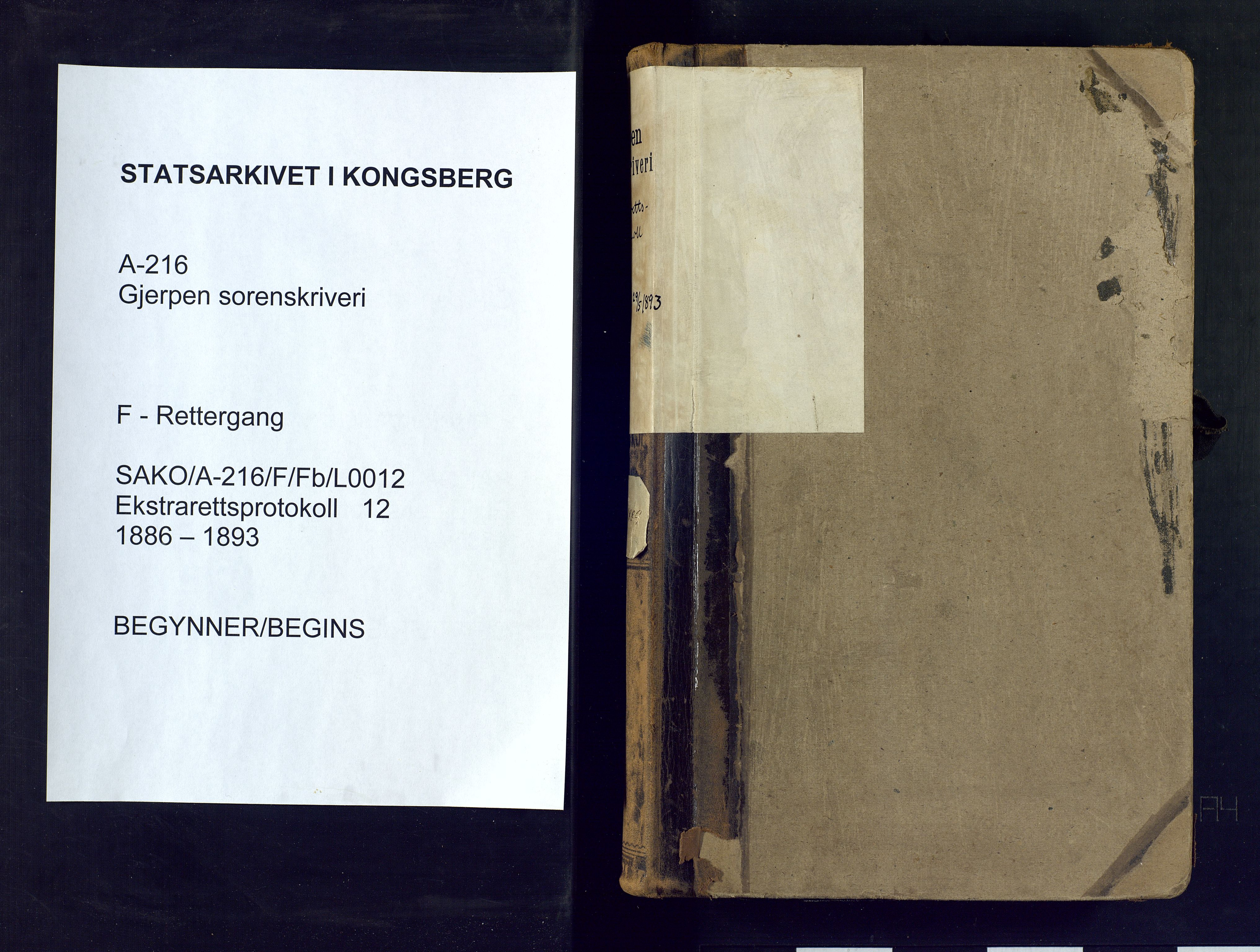 Gjerpen sorenskriveri, SAKO/A-216/F/Fb/L0012: Ekstrarettsprotokoll, 1886-1893