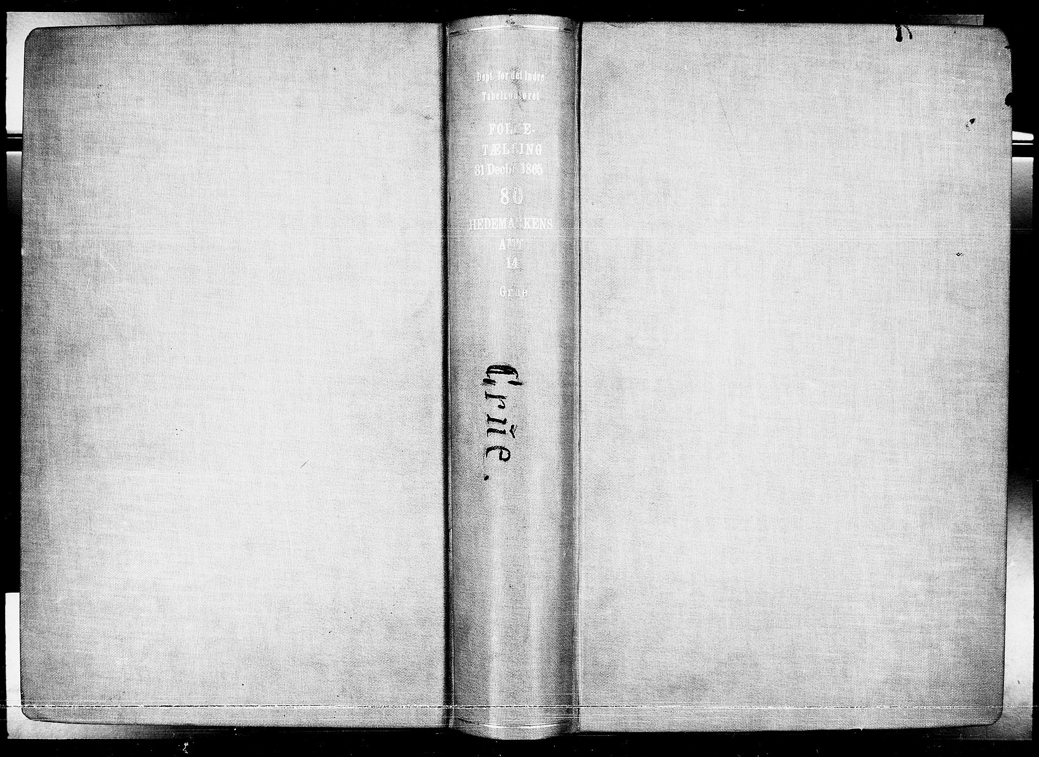 RA, Folketelling 1865 for 0423P Grue prestegjeld, 1865, s. 2
